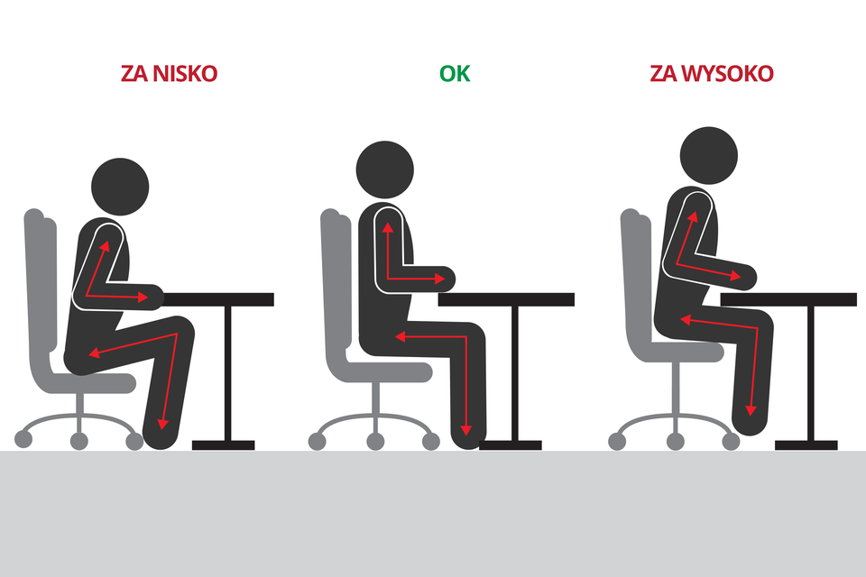 Galeria zawiera 3 plansze z ilustracjami na temat pozycji ciała podczas nauki. Ilustracja przedstawia 3 schematyczne czarne sylwetki człowieka, siedzącego na szarym fotelu przy biurku. W sylwetki wrysowano czerwone strzałki, obrazujące kąt zgięcia w stawie. Rysunek z lewej: za nisko. Kolana mocno zgięte, tułów pochylny, łokcie do tyłu. Rysunek środkowy: prawidłowo. W stawach kąty proste, plecy na oparciu fotela. Rysunek z prawej: za wysoko. Kolana rozwarte, łokcie do tyłu, tułów pochylony.