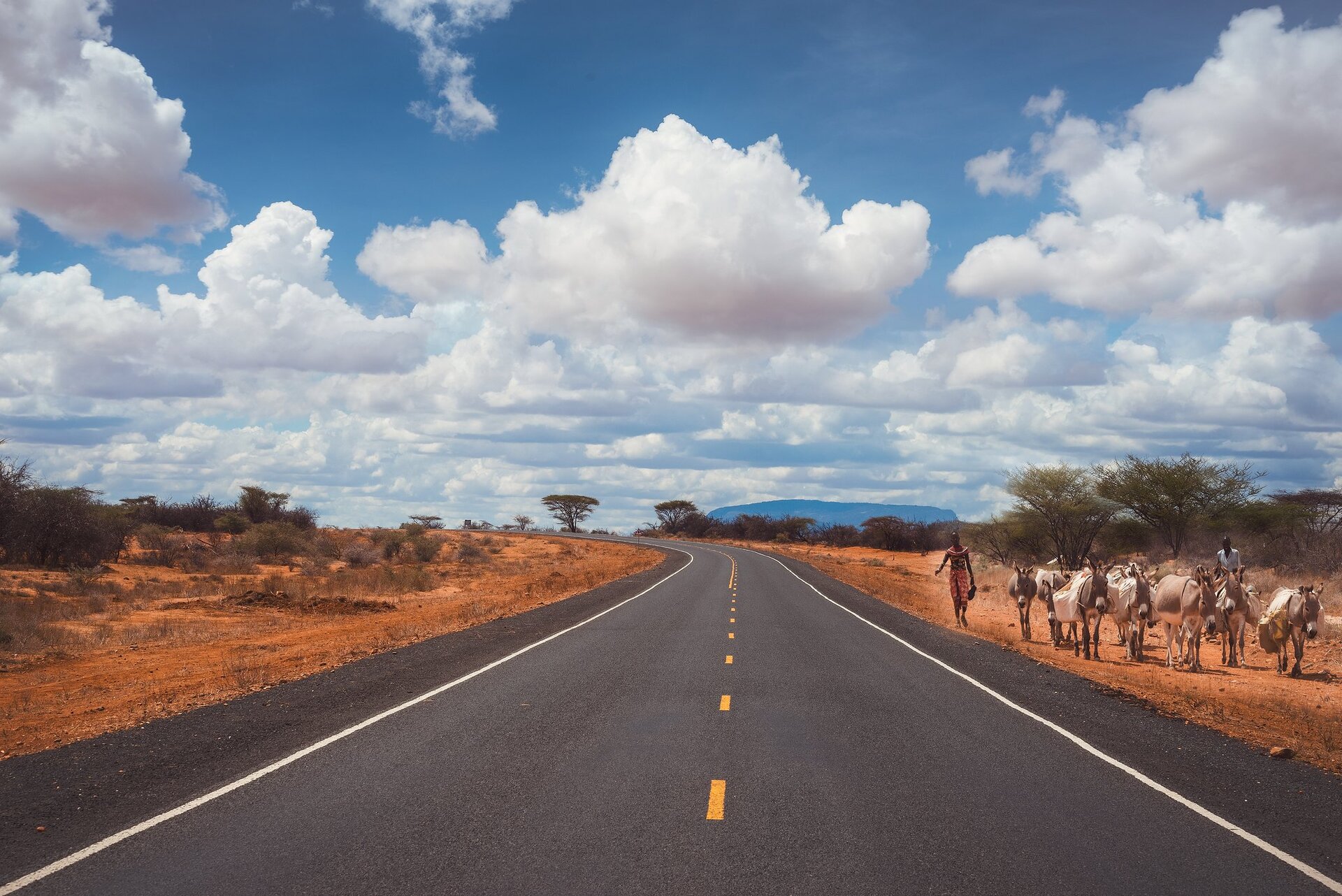 Na fotografii nowa droga asfaltowa. Pośrodku namalowane żółte pasy, po bokach białe. Utwardzone pobocze. Dookoła teren płaski, suchy, gdzieniegdzie porośnięty krzewami lub pojedynczymi drzewami. Ziemia w pomarańczowym kolorze. Po prawej stronie dwóch mężczyzn, którzy idą za obładowanymi osłami.