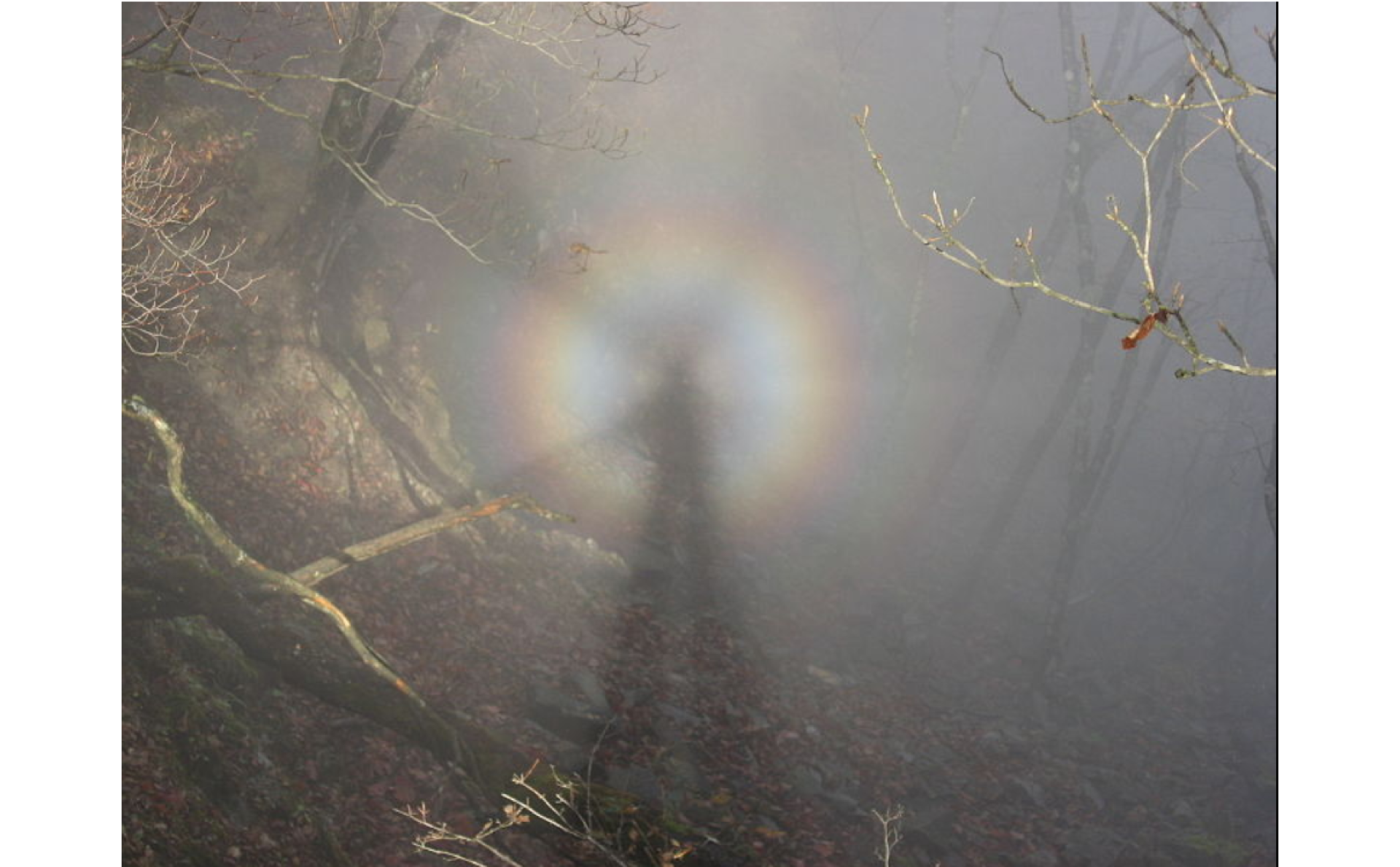 Na zdjęciu, w górskiej, mglistej scenerii, widać duży cień człowieka, wokół głowy którego znajduje się tęczowa obwódka, zwana glorią.