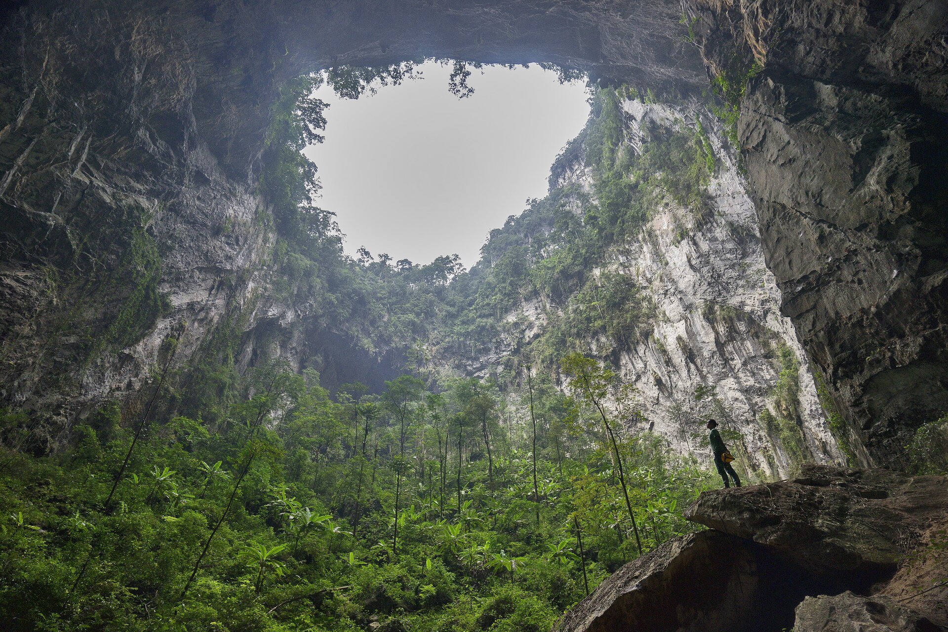 Zdjęcie przedstawia wnętrze jaskini z wielkim, okrągłym wlotem od góry jaskini, przez który widać błękitne niebo. We wnętrzu jaskini rośnie gęsta roślinność. Na kawałku skały z prawej strony stoi postać ludzka i patrzy w górę.