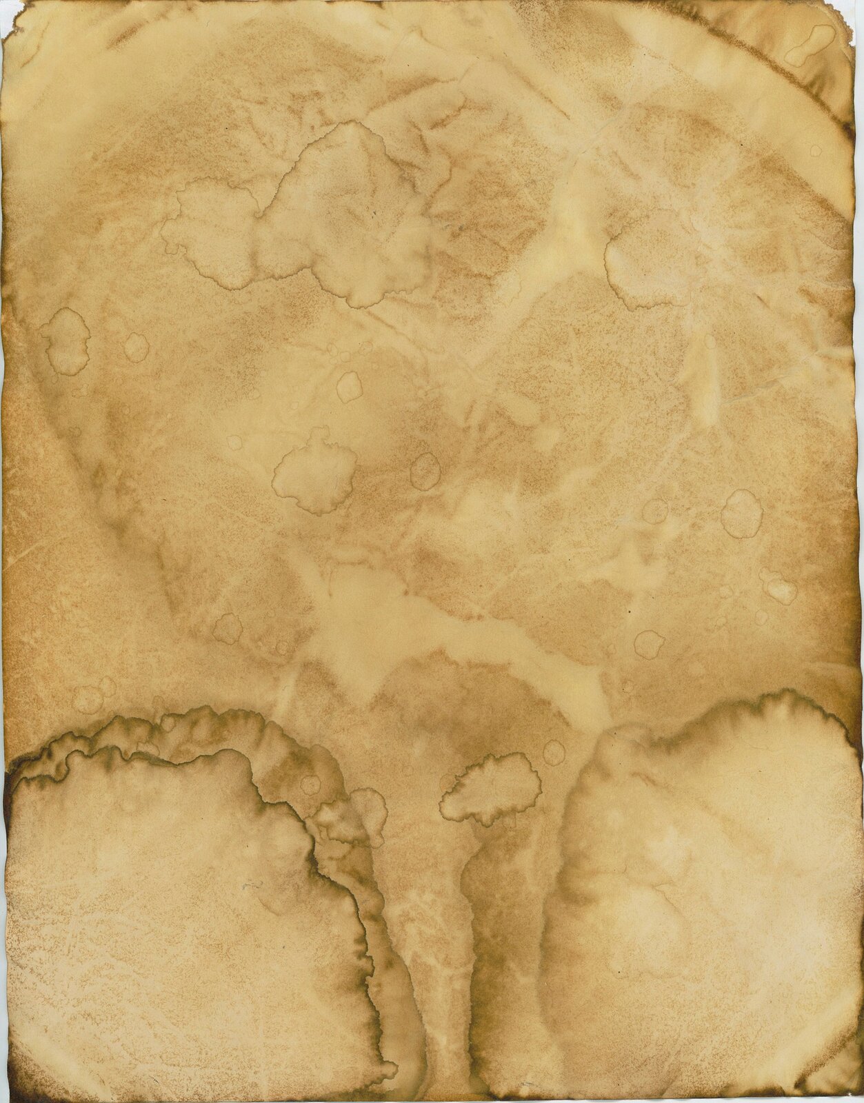 Zdjęcie przedstawia fragment papirusu koloru beżowego. Fragment pokryty jest plamami spowodowanymi najprawdopodobniej kontaktem bezpośrednio z wodą bądź wilgocią z powietrza. 