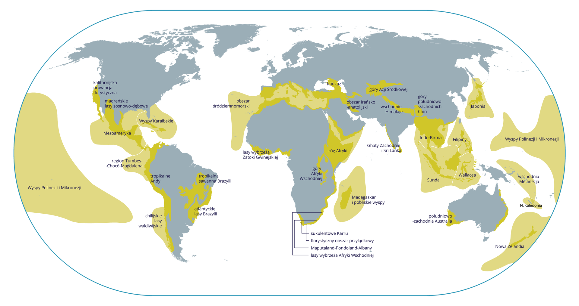 Ilustracja przedstawia mapę świata. Na niej na szarych sylwetkach kontynentów i na morzach przy pomocy dwóch kolorów zaznaczono ważne przyrodniczo obszary, tak zwane gorące punkty bioróżnorodności.