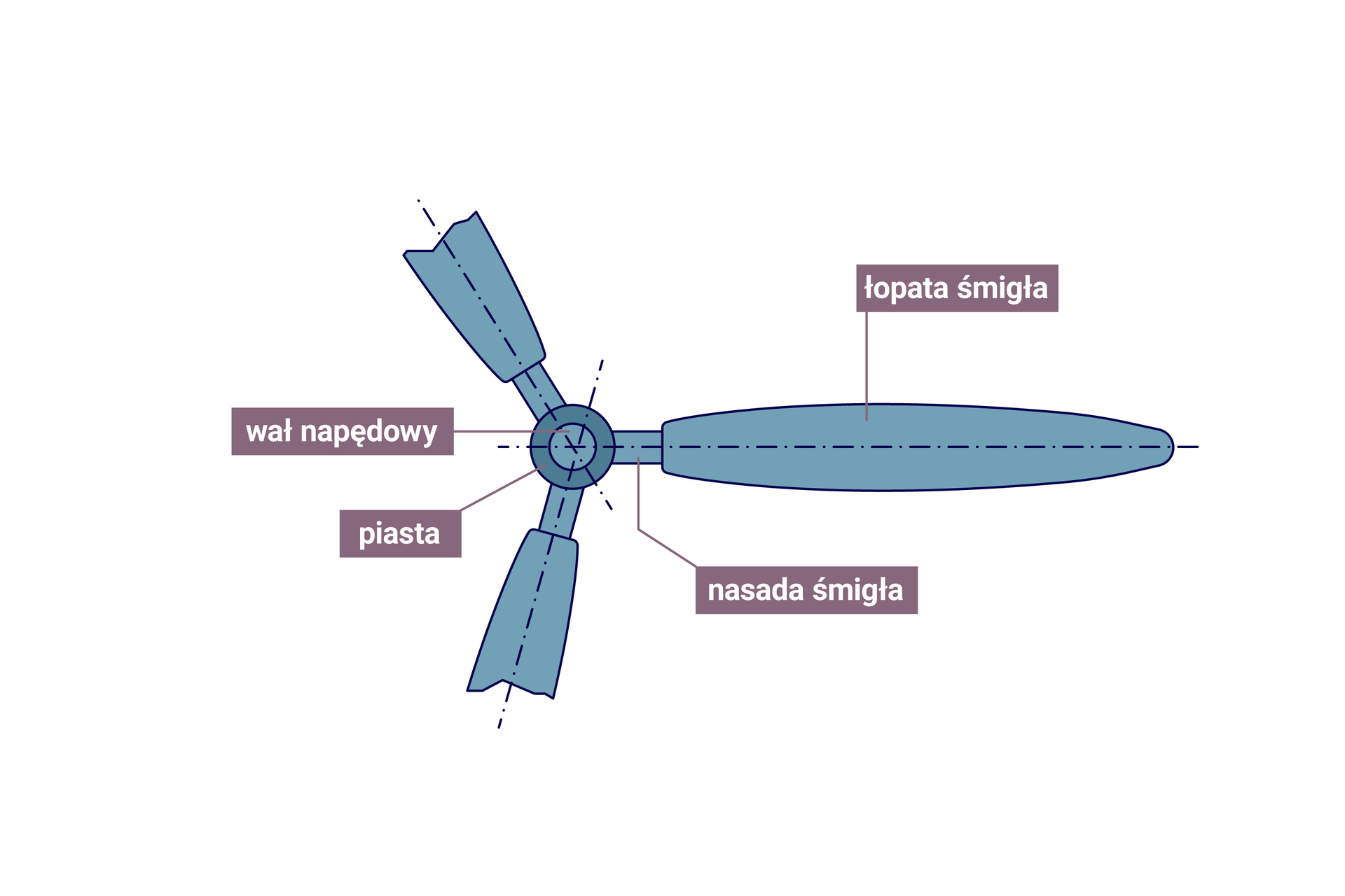 Ilustracja przedstawia budowę śmigła lotniczego. Składa się ono z łopat śmigła, osadzonych na nasadach śmigła, przymocowanych do piasty i wału napędowego.