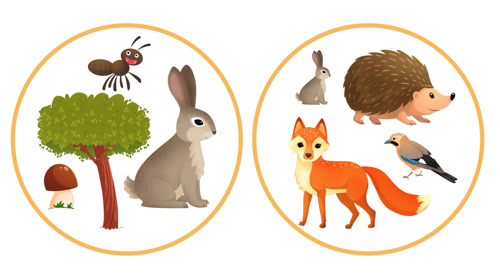 Na ilustracji po lewej widoczne są: mrówka, drzewo, zając, grzyb. Na ilustracji po prawej widoczne są: zając, jeż, ptak, lis.
