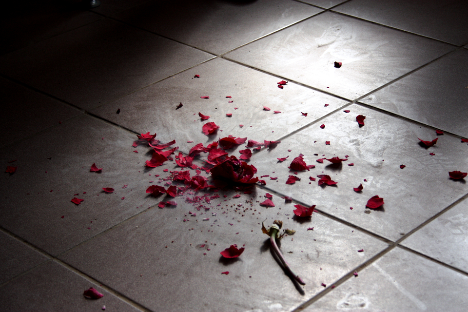 Na ilustracji ukazano leżące na szarych kafelkach suche płatki czerwonej róży, które pokruszyły się i rozsypały w wyniku rzucenia kwiatu na podłogę. Obok leży również łodyga, która odłączyła się od reszty rośliny.