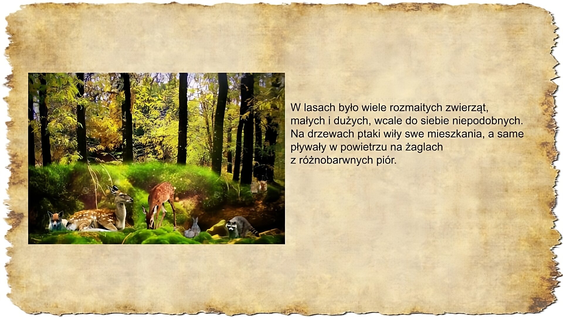 Po prawej stronie slajdu zamieszczony jest tekst: W lasach było wiele rozmaitych zwierząt, małych i dużych, wcale do siebie niepodobnych. Na drzewach ptaki wiły swe mieszkania, a same pływały w powietrzu na żaglach z różnobarwnych piór. Po lewej stronie slajdu zamieszczona jest ilustracja przedstawiająca zwierzęta na tle lasu. Po lewej stronie leży lis, obok niego łania, dalej po środku stoi jelonek skubiący trawę, przy nim znajdują się dwa zające i borsuk.