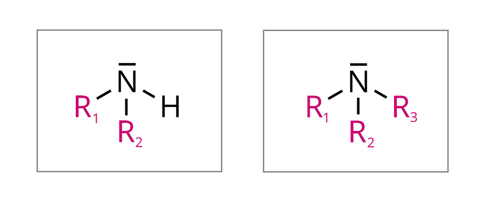 Schemat budowy amin drugo– i trzeciorzędowych. Z lewej strony znajduje się wzór strukturalny aminy drugorzędowej. Składa się on z symbolu N, nad którym znajduje się pozioma kreska, odpowiadająca wolnej parze elektronowej. Od tego symbolu odchodzą trzy wiązania pojedyncze: do dołu na ukos w lewo do czerwonego symbolu R indeks górny, jeden, koniec indeksu górnego, jedno prosto w dół do czerwonego symbolu R indeks górny, dwa, koniec indeksu górnego i jedno na ukos w prawo do symbolu H wodoru. Całość objęta jest czarną ramką. Z prawej strony znajduje się wzór strukturalny aminy trzeciorzędowej. Jest on przedstawiony analogicznie do aminy drugorzędowej, przy czym dla aminy trzeciorzędowej ostatni atom wodoru H został zastąpiony podstawnikiem R indeks górny, trzy, koniec indeksu górnego. Zatem amina trzeciorzędowa podstawiona jest różnymi grupami R, które odpowiadają łańcuchom węglowodorowym. Całość objęta jest czarną ramką.