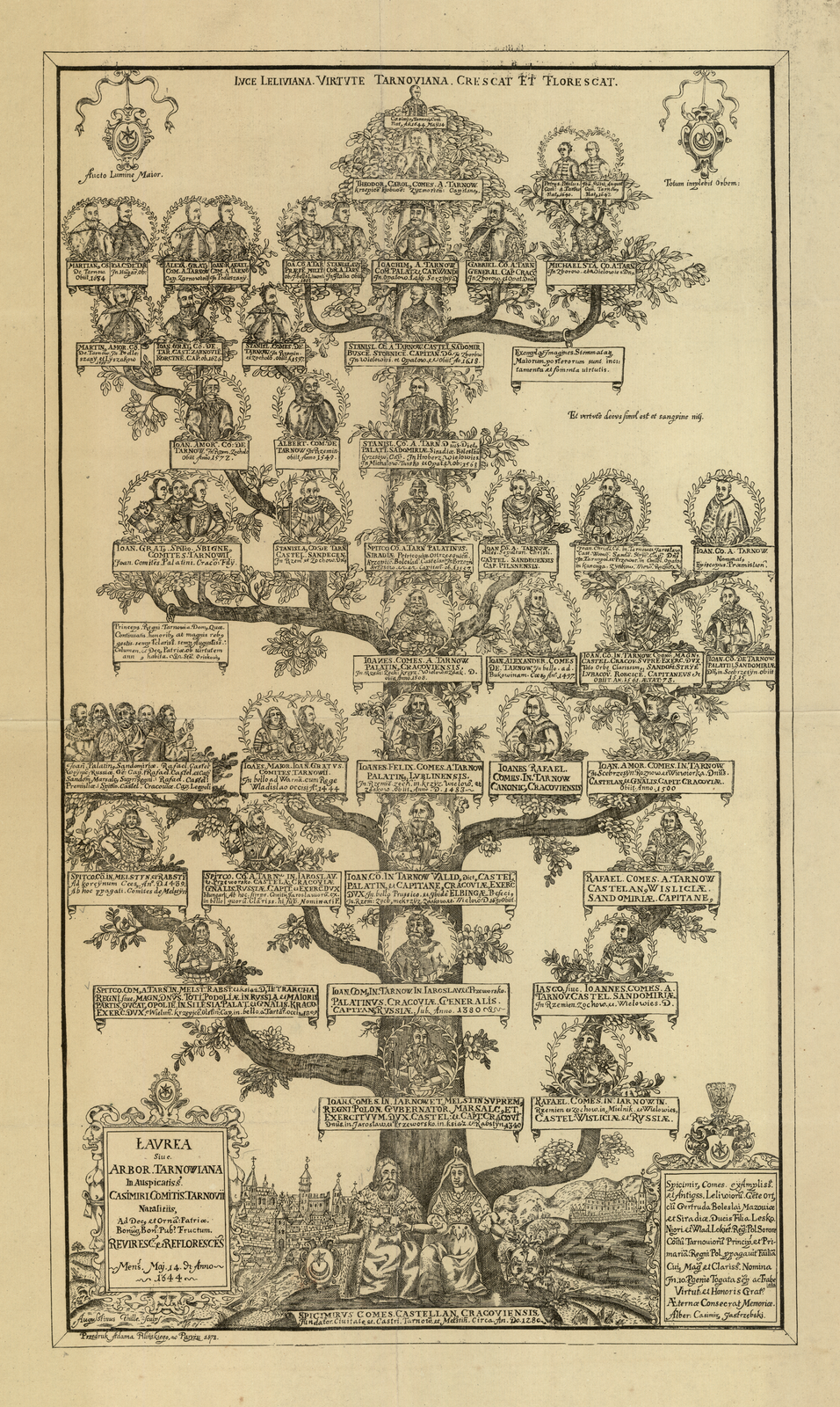 Rycina przedstawia rozbudowane drzewo genealogiczne rodu Tarnowskich, Melsztyńskich i Jarosławskich. Jest ono ukazane jako dąb, na konarach którego widnieją portrety poszczególnych przodków. Napisy na rycinie są w języku łacińskim.