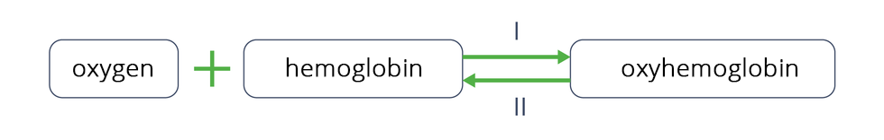 Diagram w postaci równania przedstawia dwa procesy zachodzące w erytrocytach. Lewa strona równania: oxygen, znak plus, hemoglobin. Strzałki w obie strony. Nad strzałką w prawo zapisano rzymską cyfrą jeden. Pod strzałką w lewo zapisano rzymską cyfrą dwa.Prawa strona równania: oxyhemoglobin. W pierwszym procesie z tlenu (oxygen) i hemoglobiny (hemoglobin) powstaje oksyhemoglobina (oxyhemoglobin). W drugim procesie z oksyhemoglobiny (oxyhemoglobin) powstają tlen (oxygen) i hemoglobina (hemoglobin).