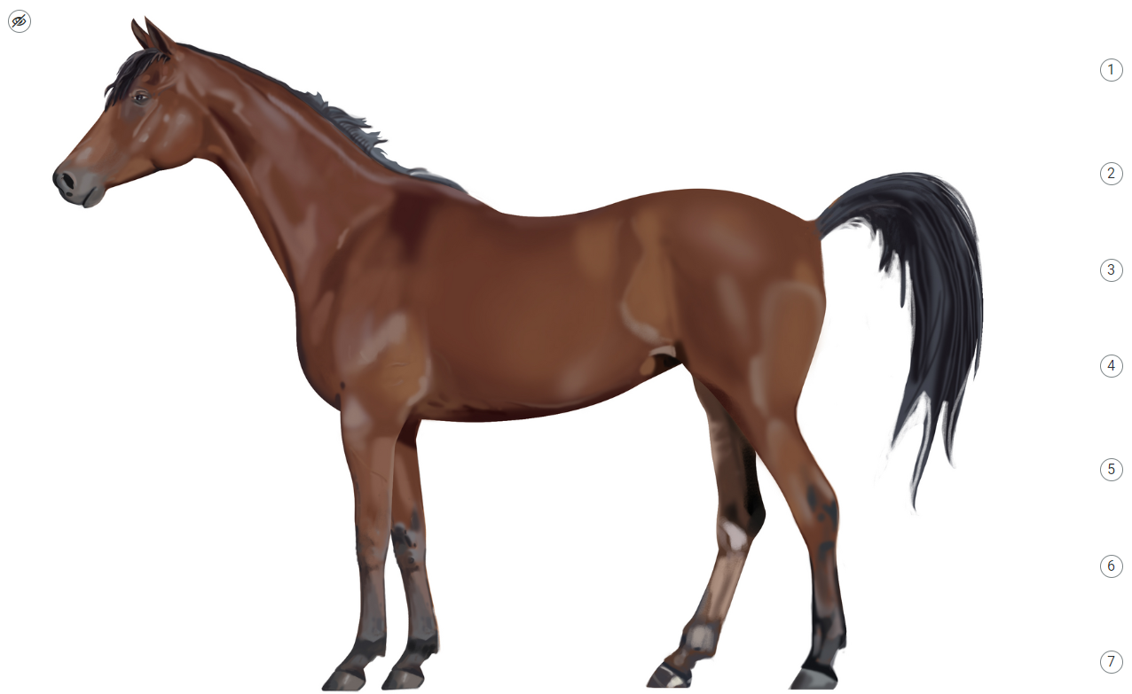 Przykładowy wygląd infografiki. Na ekranie widoczny jest rysunek konia o brązowej sierści oraz czarnej grzywie i ogonie. Po prawej stronie pionowo umieszczonych jest siedem cyfr w białych kółkach z czarnymi obwódkami. W lewym górnym rogu znajduje się ikona przekreślonego oka.