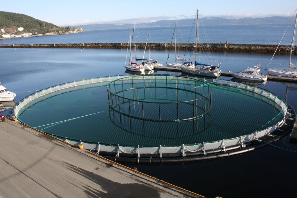 Na zdjęciu w pobliżu pomostu jest okrągły zbiornik zanurzony w wodzie. W pobliżu zbiornika zacumowane są żaglówki. 