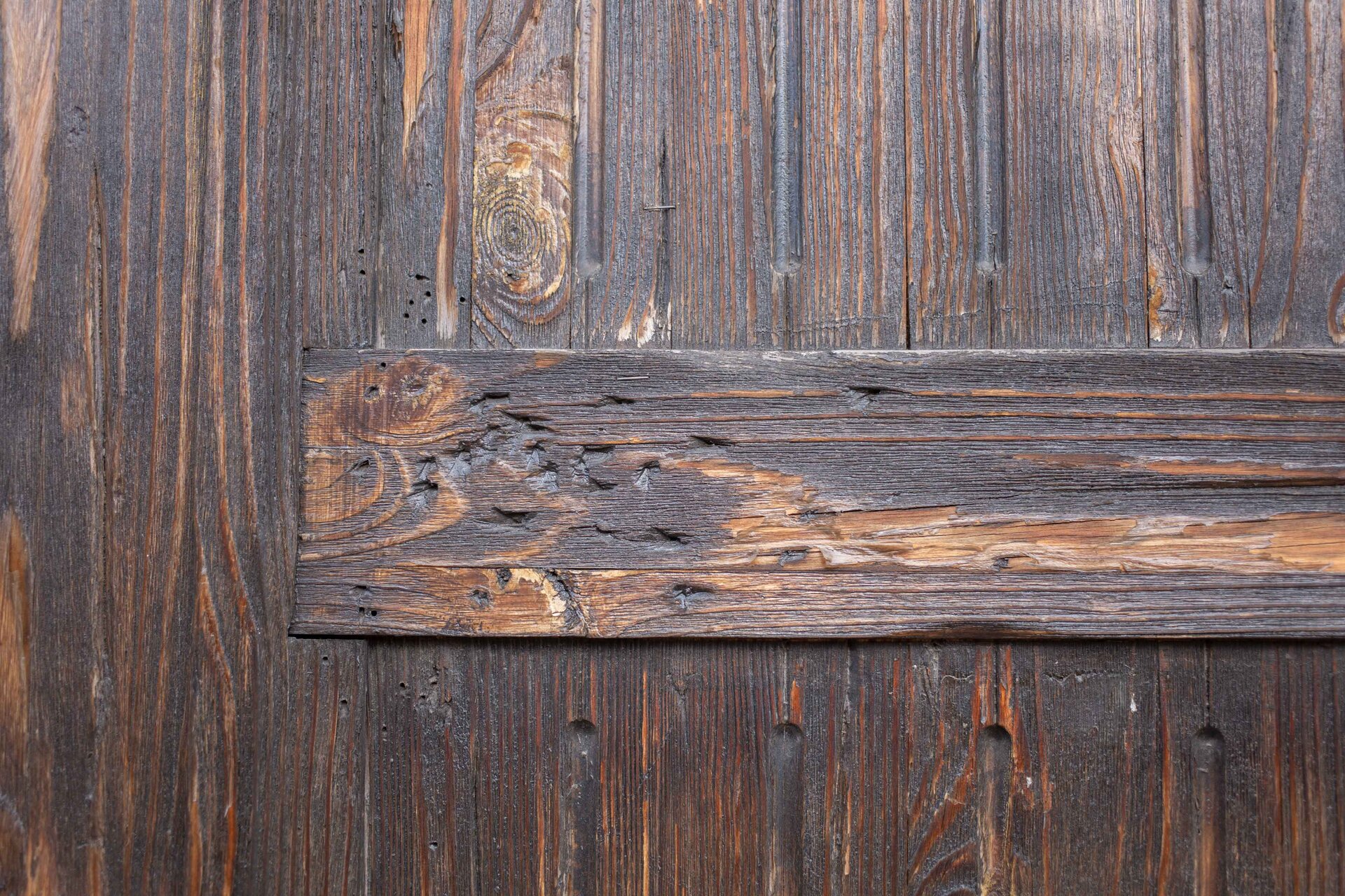 Zdjęcie przedstawia kawałek drewna o niejednorodnej powierzchni – z drobnymi dziurami w różnych miejscach.