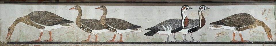 Ilustracja przedstawia "Gęsi z Meidum". Na długim, poziomym pasie widnieje sześć gęsi ukazanych w parzystym rytmie, na jasnoszarym, neutralnym tle. Kompozycja została zamknięta czarnymi pasami na górze i dole. Trzy gęsi po lewej stronie mają brązowo‑czarne upierzenie, są zwrócone w lewo, przy czym pierwsza i ostatnia pochylają się, jakby żerowały. Ich upierzenie zostało odwzorowane z niezwykłą precyzją – każda lotka i detal piór są drobiazgowo opracowane.      Para środkowa wyróżnia się innym ubarwieniem – ich pierś i szyja są białawe z czerwonymi i czarnymi plamami, skrzydła stalowoszare z białymi akcentami, a nogi jasnopomarańczowe. Ptaki te są ukazane w pozycji stojącej, z głowami zwróconymi w prawo.      Dwie ostatnie gęsi po prawej stronie mają brązowe pióra i są odwrócone w przeciwnym kierunku – w stronę lewej krawędzi kompozycji. Ich głowy pochylają się ku dołowi.