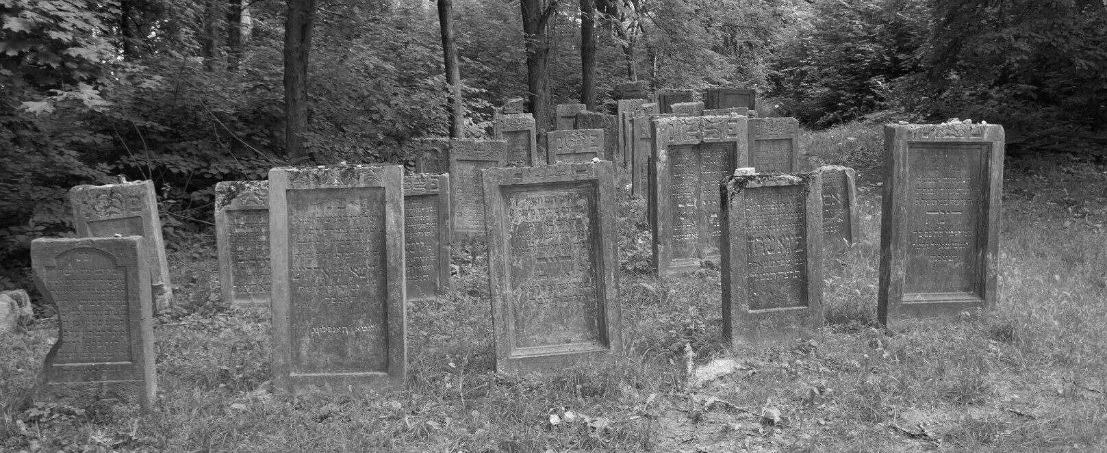 Czarno‑białe zdjęcie przedstawia fragment cmentarza żydowskiego. Kamienne nagrobki ustawione są pionowo w szeregach, jeden za drugim.  Na ich powierzchni wyryte są napisy w języku hebrajskim. Na szczycie nagrobków ułożone są małe kamienie. Wokół nagrobków rośnie trawa. W tle rosną drzewa. 