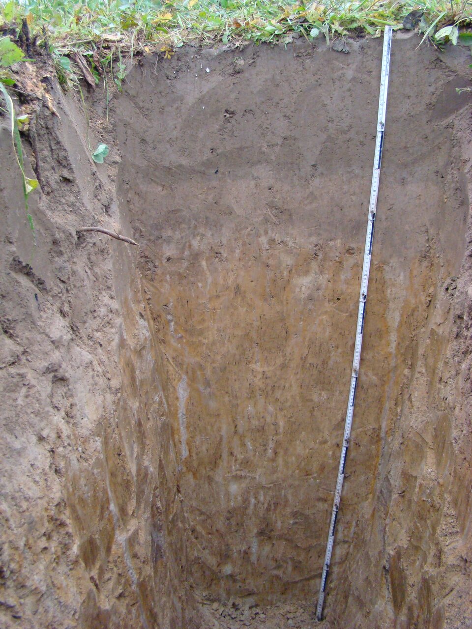 Zdjęcie przedstawia profil gleby. Bliżej powierzchni gleba ma kolor szarobrązowy. Poniżej tej warstwy staje się jasnopomarańczowa i jasnobrązowa. 