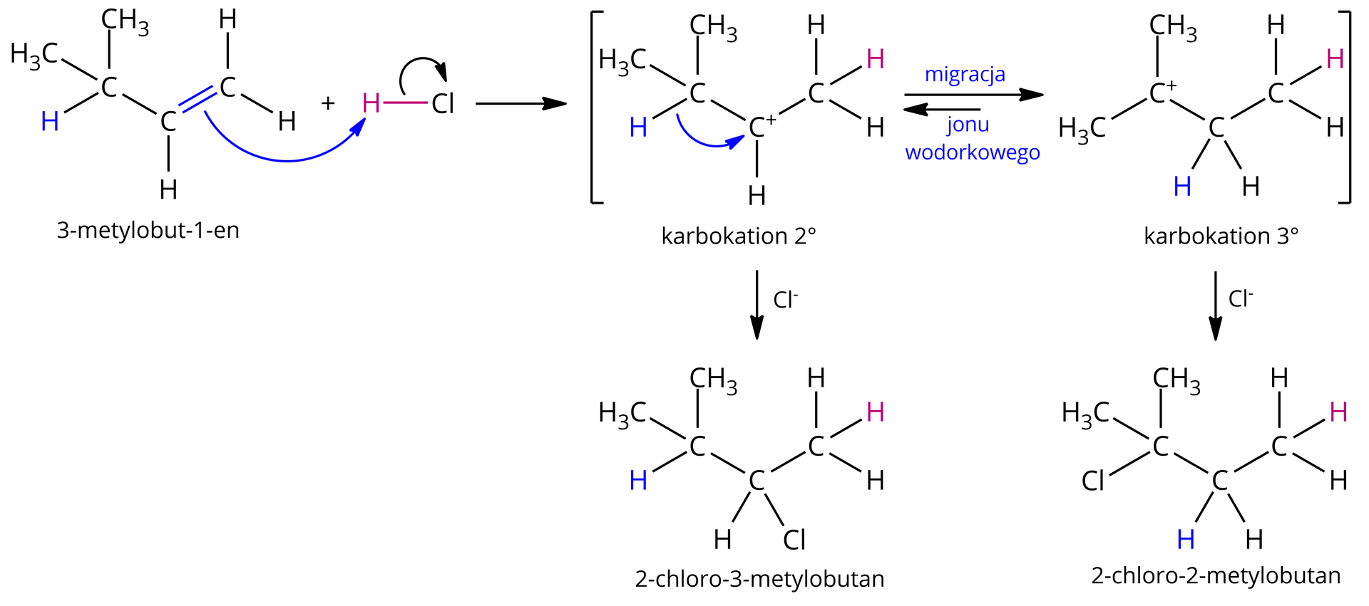 Na ilustracji jest mechanizm reakcji 3‑metylobut‑1-enu z chlorowodorem HCl. Cząsteczka 3‑metylobut‑1-enu o strukturze, dwa węgle połączone wiązaniem podwójnym, od pierwszego odchodzą dwa wiązania łączące go z atomami wodoru, od drugiego jeden atom wodoru oraz grupa CH połączona z dwiema grupami CH3, dodać cząsteczka chlorowodoru H wiązanie Cl, symbolizująca atak pary elektronowej, czyli ruch elektronów, łukowata strzałka poprowadzona od wiązania podwójnego do atomu wodoru w cząsteczce chlorowodoru, z jednoczesnym zerwaniem wiązania pomiędzy atomem wodoru i chloru, co symbolizuje łukowata strzałka poprowadzona od wspólnej pary elektronowej atomu wodoru i chloru do atomu chloru, odejście anionu chlorkowego. Strzałka. W nawiasach kwadratowych, symbolizujących stan przejściowy, struktury dwóch karbokationów. Pierwszy z nich, karbokation drugorzędowy, o strukturze grupa CH3 połączona z grupą CH o cząstkowym ładunku dodatnim, oznaczonym plusem, która to połączona jest z grupą CH zawiązaną z dwoma grupami CH3. Od pary elektronowej łączącej atom wodoru H z atomem węgla obojętnej grupy CH poprowadzona jest łukowata strzałka do centrum karbokationu, co symbolizuje migrację jonu wodorkowego do grupy CH z cząstkowym ładunkiem dodatnim. Dłuższa strzałka w prawo, krótsza w lewo, co symbolizuje przesunięcie równowagi na korzyść drugiego, nowoutworzonego karbokationu trzeciorzędowego, o strukturze grupa CH3 związana z grupą CH2, która to łączy się z węglem obdarzonym cząstkowym ładunkiem dodatnim i związanym z dwoma grupami CH3. Strzałka od pierwszego, drugorzędowego karbokationu, nad nią anion chlorkowy, Cl minus. Powstaje 2‑chloro‑3-metylobutan o strukturze grupa CH3 połączona z grupą CH, która to połączona jest z atomem chloru oraz kolejną grupą CH, która to z kolei połączona jest z dwoma grupami CH3. Strzałka od drugiego trzeciorzędowego karbokationu, nad nią anion chlorkowy, Cl minus. Powstaje 2‑chloro‑2-metylobutan o strukturze grupa CH3 połączona z grupą CH2, która to połączona jest atomem węgla, od którego odchodzą dwie grupy CH3 oraz atom chloru.
