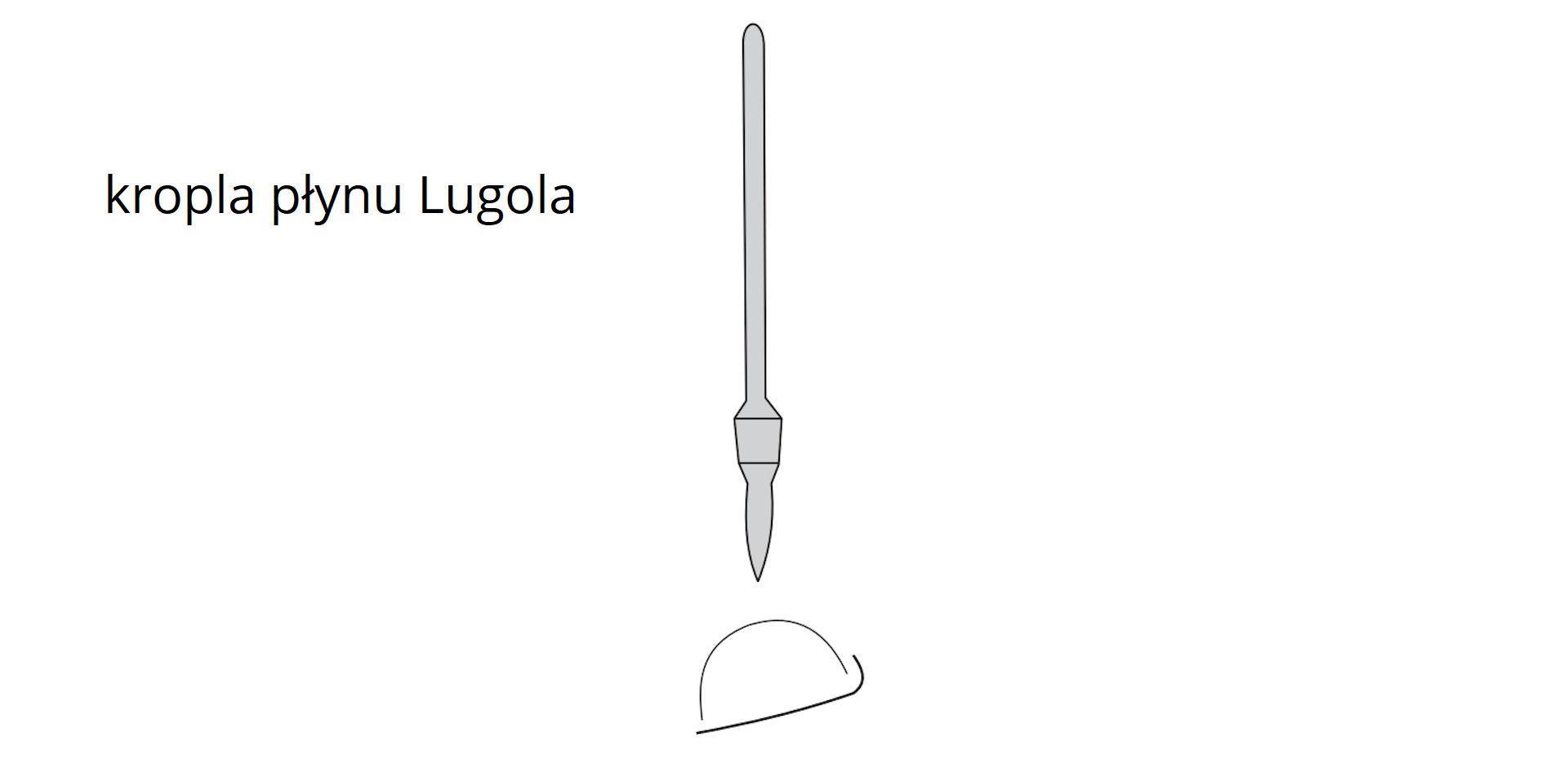 Opis doświadczenia: za pomocą pipety na kawałek ziemniaka naniesiono kroplę płynu Lugola.