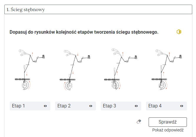 Widok na przykładowe ćwiczenie w otwartej zakładce