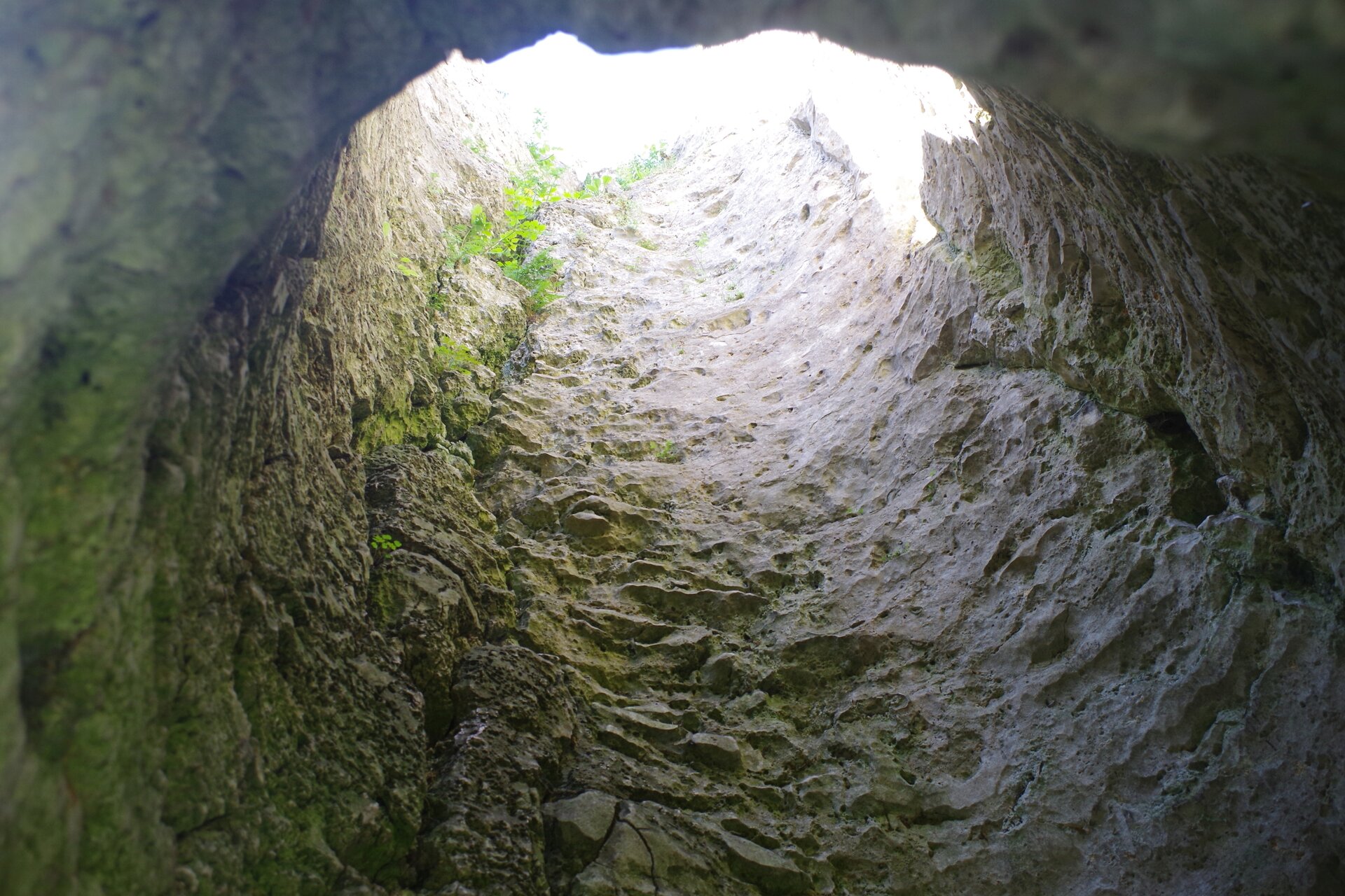 Fotografia przedstawia komin jaskiniowy w Studnisku Mirowskim. Ilustracja ukazuje wnętrze komina o owalnym kształcie. Ściany komina są pokryte ospą krasową oraz delikatną roślinnością. 