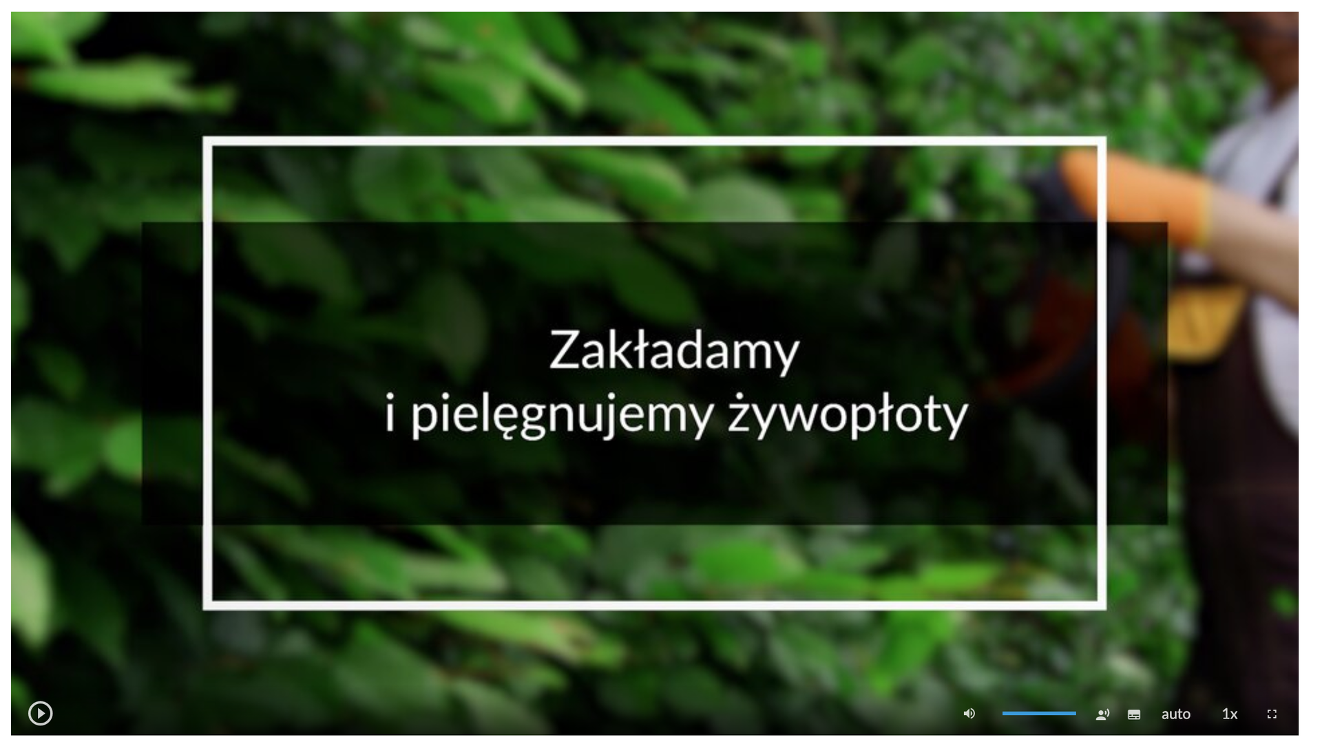 Widok okna odtwarzacza filmu. Na środku w białej ramce znajduje się tytuł: Zakładamy i pielęgnujemy żywopłoty.