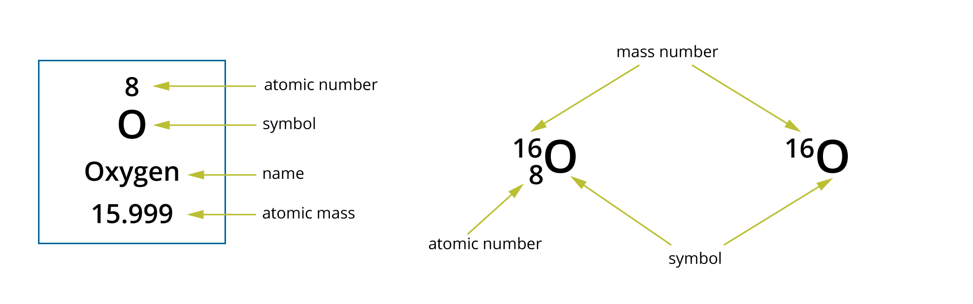 Na rysunku zaznaczone są trzy notacje dotyczące atomu tlenu. Po lewej notacja stosowana w układzie okresowym pierwiastków – w ramce umieszczone są pionowo, jedno pod drugim: atomic number - 8, symbol - O, name - Oxygen, atomic mass - 15.999. Druga notacja znajdująca się w środku rysunku to symbol pierwiastka O z zaznaczoną po prawej stronie w indeksie górnym liczbą masową - 16, a pod nią w indeksie dolnym liczbą atomową - 8, po prawej stronie rysunku ta sama notacja, lecz bez liczby atomowej. Opisana liczba masowa - mass number, symbol - symbol i liczba atomowa - atomic number.