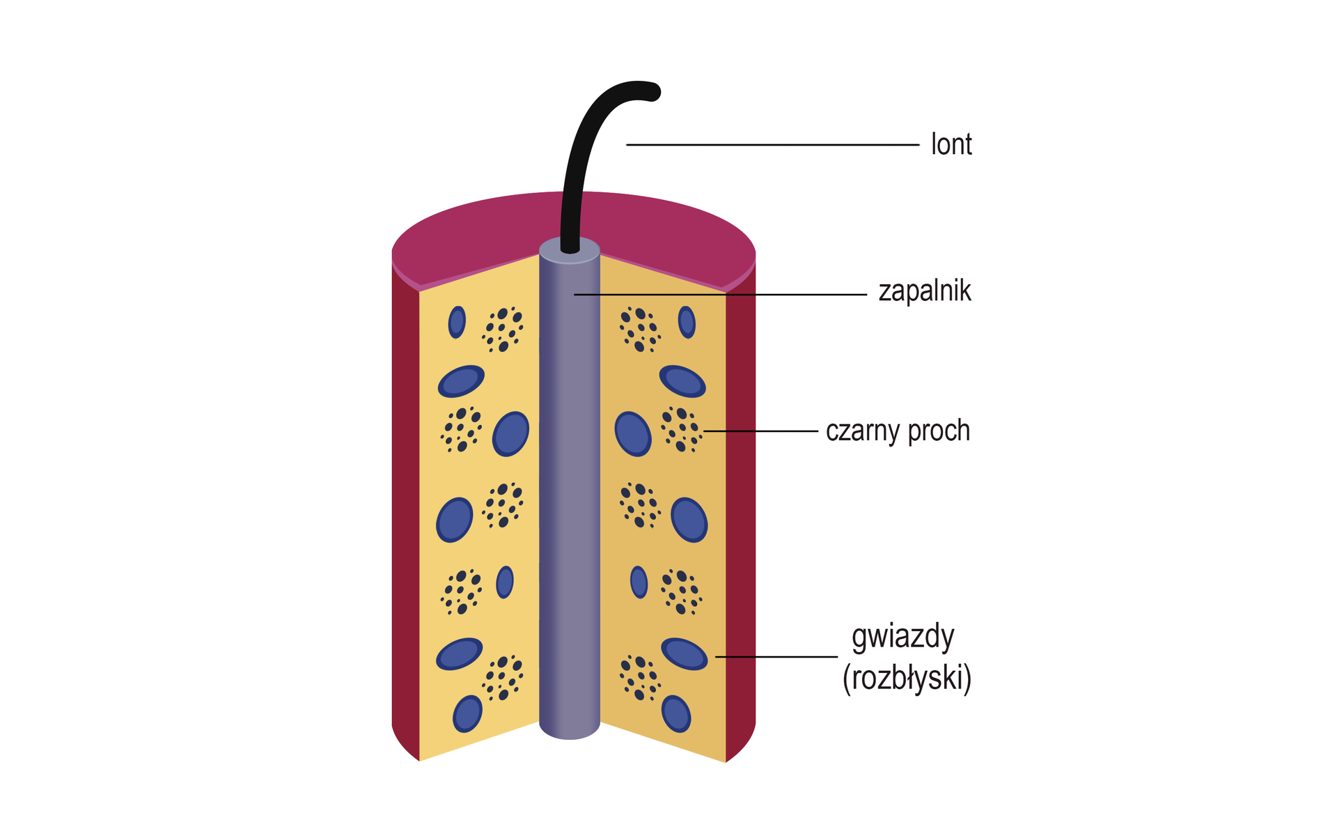 Grafika przedstawia schemat budowy fajerwerków. Fragment walcowatego fajerwerku został wycięty. Dzięki czemu zobrazowano wnętrze. Przekrój równomiernie wypełniony jest czarnym prochem, reprezentowanym przez skupiska czarnych drobin przyjmujące kształt kółka. Przez podłużną oś symetrii poprowadzony jest walcowaty cienki zapalnik. Z jego wnętrza wydostaje się lont w górnej części fajerwerku. Oprócz czarnego prochu objętość fajerwerku wypełniają tak zwane gwiazd, to jest rozbłyski, reprezentowane przez owalne i koliste, kolorowe figury.