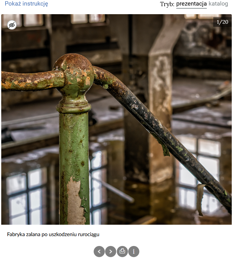 Ilustracja przedstawia jedno ze zdjęć galerii ukazane w trybie prezentacji. U dołu zdjęcia znajduje się wysunięty panel dolny z informacjami na temat grafiki.