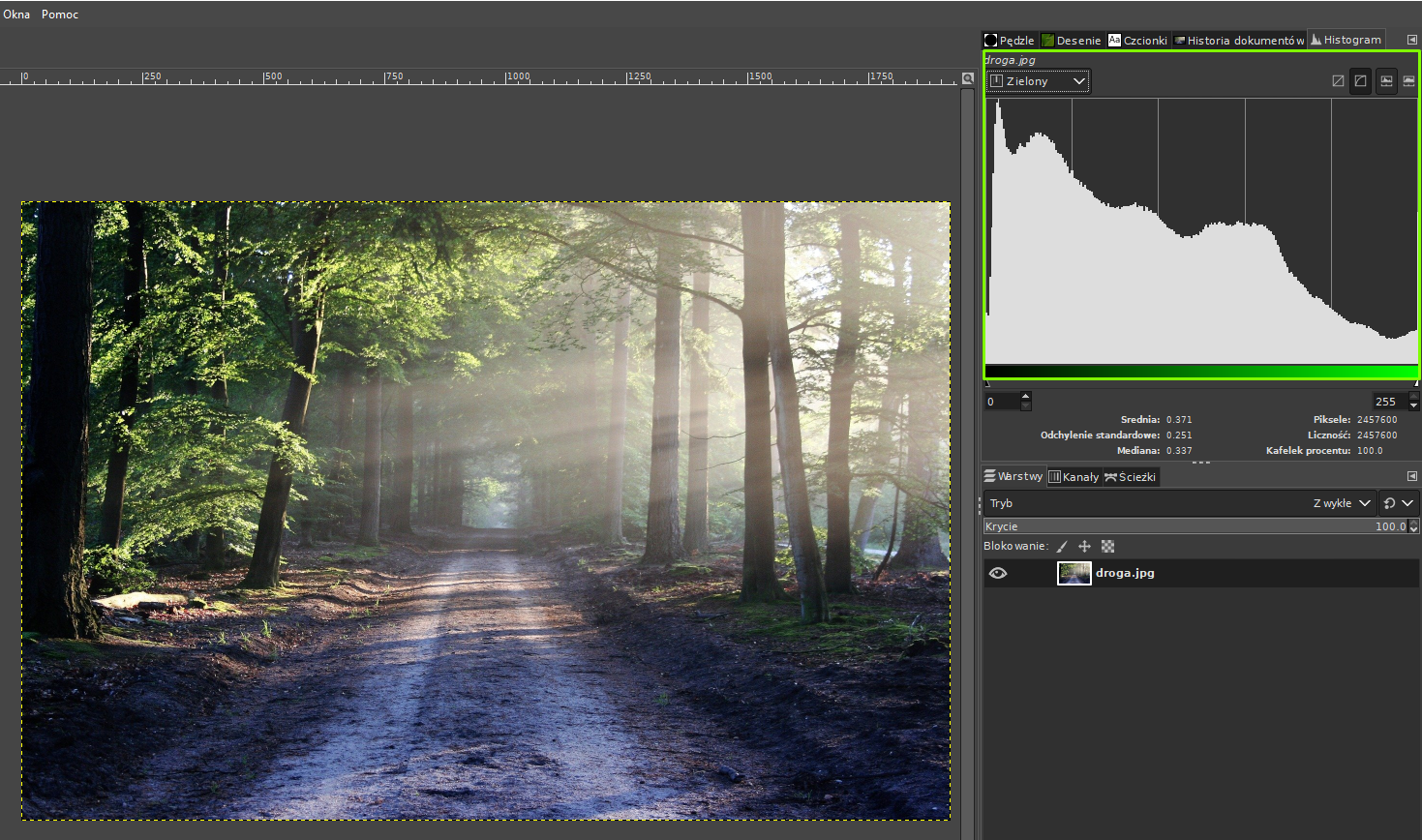 Ilustracja przedstawia fragment okna programu. Po lewej stronie w obszarze roboczym znajduje się zdjęcie lasu. Po prawej stronie jest histogram. W polu nad histogramem jest nazwa: Zielony. Histogram jest w zielonej ramce. Poniżej histogramu jest panel dotyczący warstw. Jest jedna warstwa o nazwie: droga. 