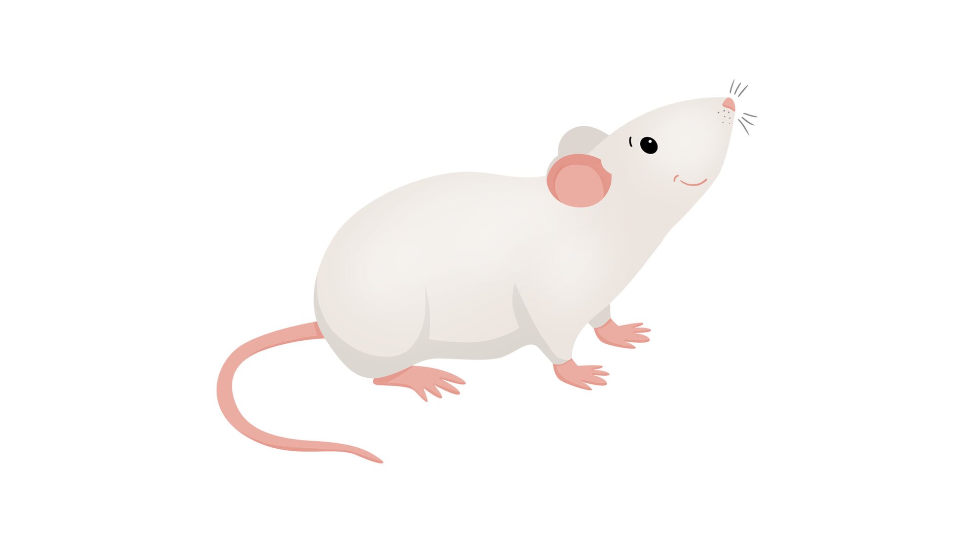 Ilustracja przedstawia mysz.