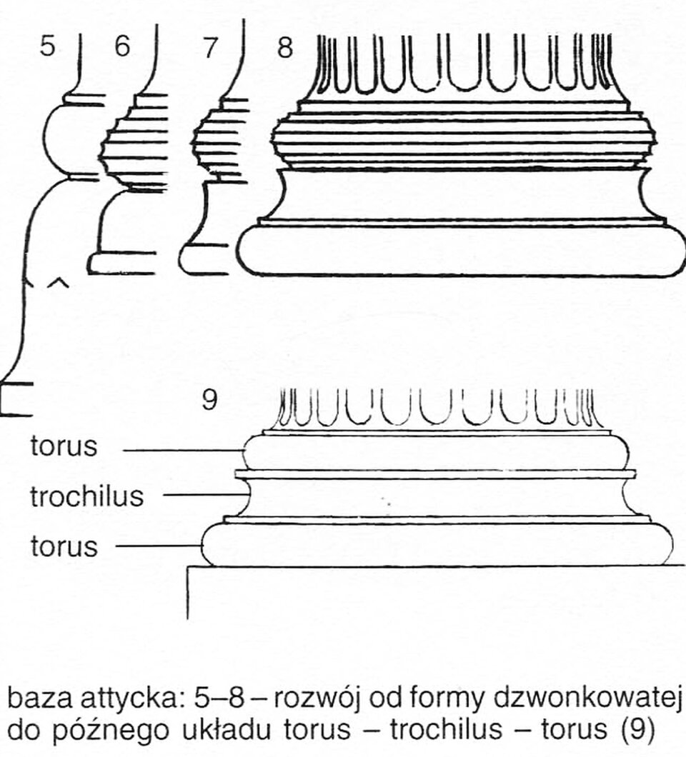 Ilustracja przedstawia bazę kolumny jońskiej; oznaczono następujące elementy: torus - trochilus - torus.
