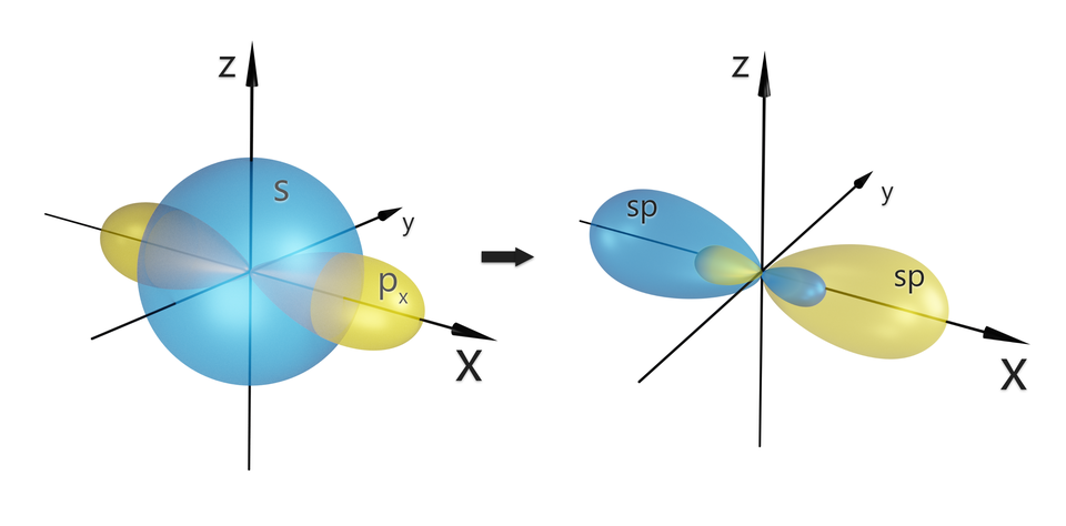 Ilustracja przedstawia dwa trójwymiarowe układy współrzędnych, które stanowią po trzy przecinające się osie opisane kolejno <math aria‑label="iks">x, <math aria‑label="igrek">y, <math aria‑label="zet">z. W pierwszym układzie znajdują się niezhybrydyzowane orbitale s oraz p. Orbital s stanowi niebieska kula mająca środek w początku układu współrzędnych z jego wyłączeniem. Wzdłuż osi <math aria‑label="iks">x znajduje się orbital p składający się z dwóch lobów, których węższe końce znajdują się w początku układu współrzędnych, loby mają kształt trójwymiarowej ósemki obracającej się wokół osi x. Jest żółty. W drugim układzie przedstawiono powstałe w wyniku wymieszania orbitali s i p dwa orbitale typu sp. Znajdują się one wzdłuż osi <math aria‑label="iks">x, orbital sp stanowią dwa loby, jeden mniejszy, zaś drugi większy, których wąskie końce znajdują się od strony początku układu współrzędnych i które poszerzają się w miarę oddalania od punktu (0; 0). Ich kształt można przyrównać do kształtu trójwymiarowej nieproporcjonalnej z jednej strony obracającej się w wzdłuż osi <math aria‑label="iks">x ósemki.