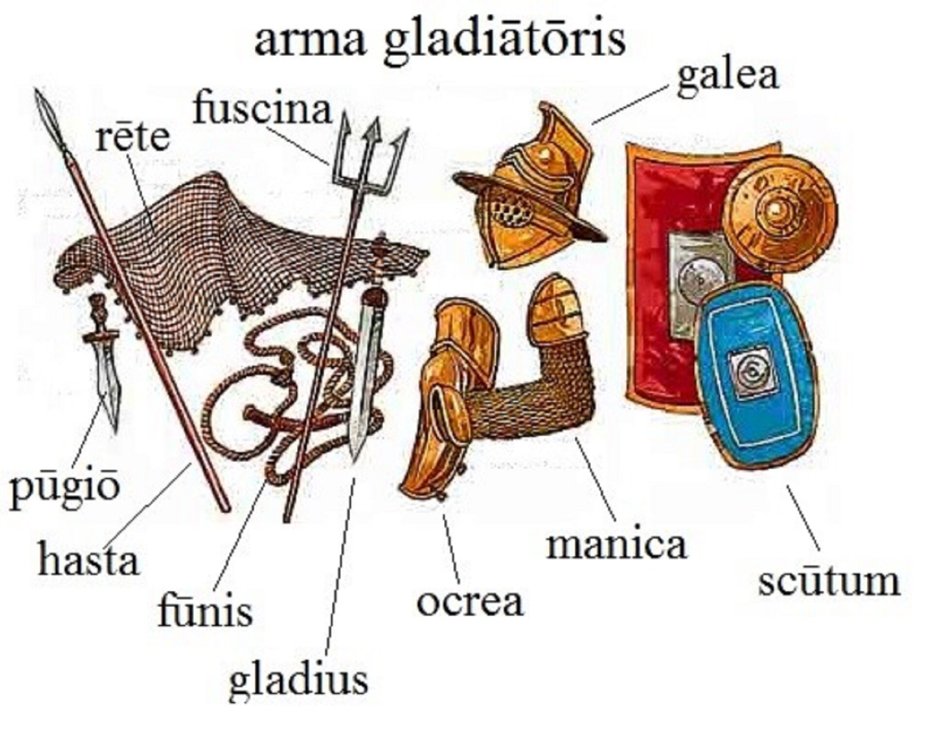 Ilustracja przedstawia elementy uzbrojenia gladiatorów. Obok nich znajdują się następujące łacińskie podpisy: rete, fuscina, galea, scutum, manica, ocrea, gladius, funis, hasta, pugio.