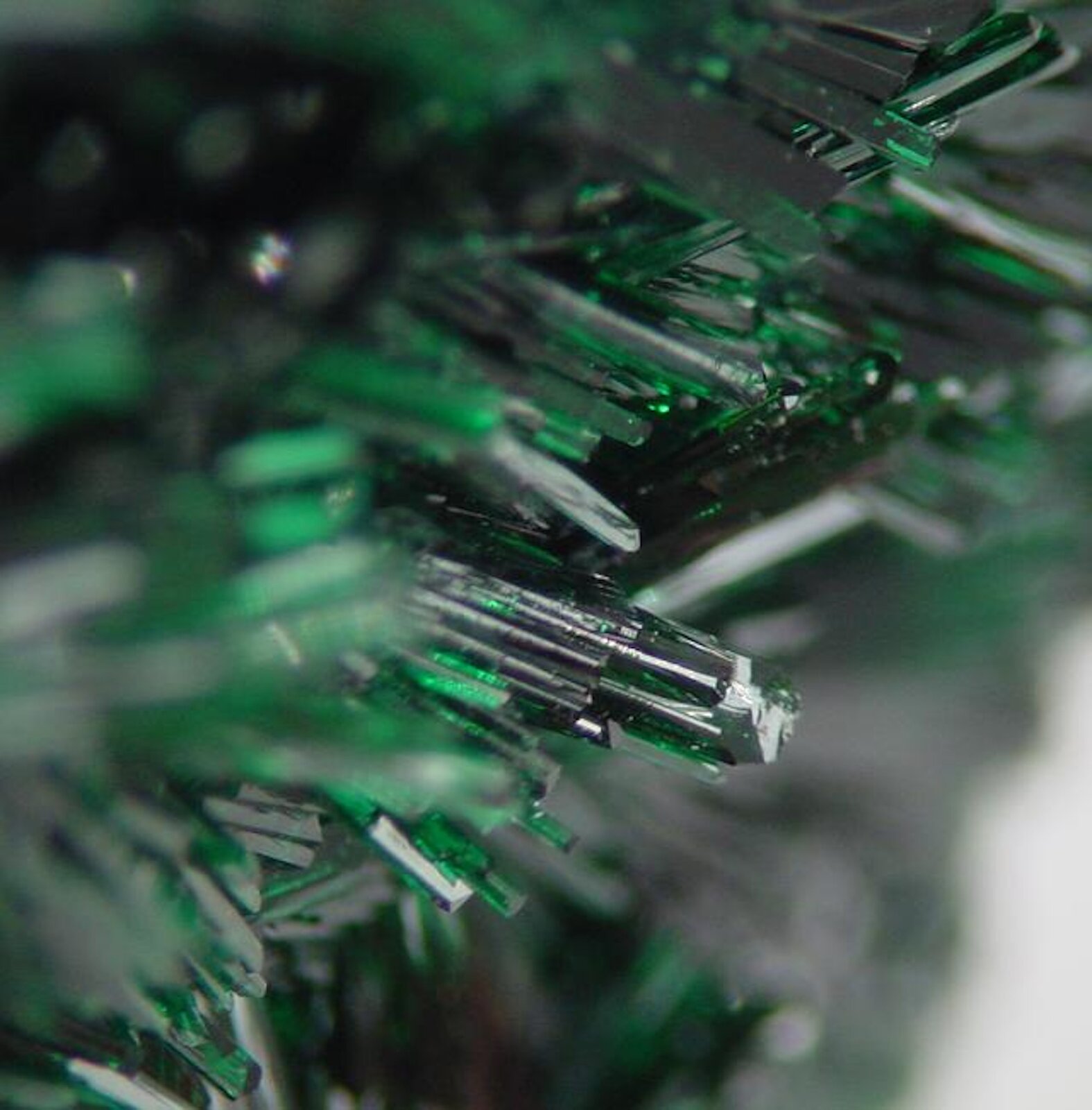 Zdjęcie przedstawia zielone kryształy występujące w skupieniu o pokroju igiełkowym. 