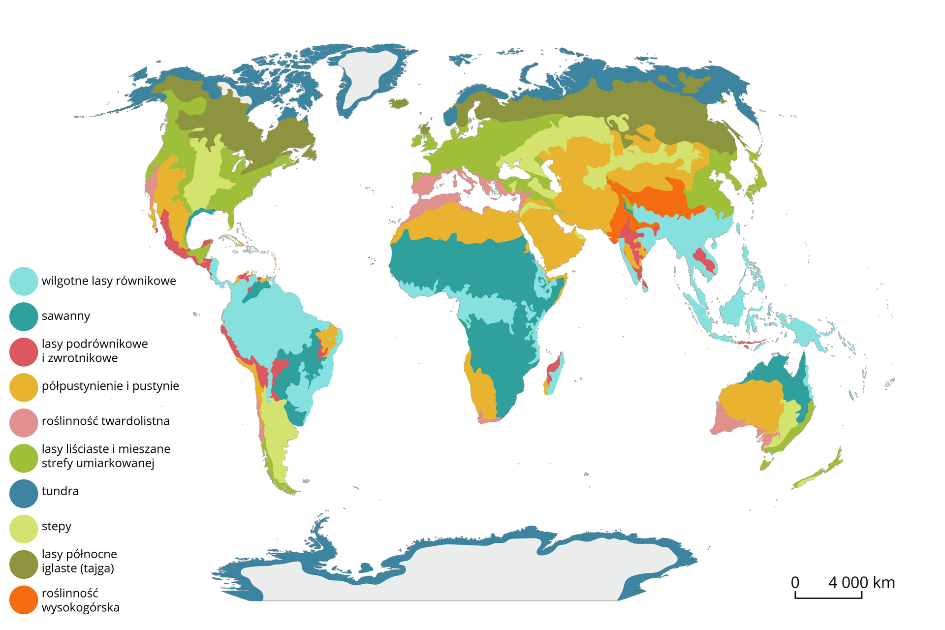 Na ilustracji zaznaczono kolorami na mapie świata rozmieszczenie głównych formacji roślinnych. Od północy tundra, aż po Alaskę, północne krańce Kanady, całą Norwegię, północne krańce Rosji z Kamczatką. Tundra zaznaczona jest również na obrzeżach Antarktydy. Następny pas to lasy północne iglaste, czyli tajga - obejmuje ona dużą część Kanady, Islandię, Szwecję, Finlandię, dużą część Rosji północnej z Półwyspem Karelskim. Kolejna formacja - lasy liściaste i mieszane strefy umiarkowanej. Zaznaczone zostały na terenie wschodniej Kanady, wschodnich i zachodnich Stanów Zjednoczonych, z Florydą łącznie, na półwyspie Jukatan, w większości Europy Zachodniej (bez Hiszpanii, Włoch i południowych Bałkanów z Grecją). Ponadto także na europejskiej części Rosji, większości Turcji oprócz Azji Mniejszej, a także na terenie Korei, Japonii, północno‑wschodnich Chin. Od południa kuli ziemskiej patrząc lasy liściaste i mieszane strefy umiarkowanej zaznaczono na południowym krańcu Ameryki Południowej, w całej Nowej Zelandii, Tasmanii, na południowo‑wschodnim wybrzeżu Australii. Następna formacja to stepy. Zaznaczono je w środkowym pasie Stanów Zjednoczonych, przez całą ich wysokość, na dużej części Azji Środkowej, na dużej części Iranu. Od południa globu stepy zaznaczono na terenie Argentyny i w południowo‑wschodniej części Australii, bez wybrzeża. Kolejna formacja – roślinność twardolistna – zajmuje obszar Kalifornii, południowej Europy, Maroka, północnej Algierii, Tunezji, Azji Mniejszej, Syrii, Jordanii, Palestyny, Izraela. Ta formacja jest obecna także w środkowej części Chile, na południowym krańcu Afryki, w południowo‑zachodniej Australii i na Małych Wyspach Sundajskich. Następna formacja roślinności to półpustynie i pustynie. Obejmuje ona obszar stanów Nevada, Utah, Nowy Meksyk, Teksas oraz obszar północnego Meksyku, W Brazylii fragment północno‑wschodniego krańca, w Afryce teren Namibii i Angoli oraz szeroki pas północny (oprócz Maroka, północnej Algierii i Tunezji). Ta formacja obejmuje także cały Półwysep Arabski, w Azji między innymi teren Iranu, Pakistanu, Uzbekistanu, Afganistanu, Kirgistanu, Tadżykistanu, częściowo Kazachstanu, północno‑zachodnich Chin, a w Australii spora zachodnia część kontynentu. Kolejna formacja to sawanny. Obejmują większość obszaru Afryki, oprócz wcześniej wskazanych i terenów równikowych. Sawanna jest też obecna w północnej Australii i w środkowej Brazylii i w Urugwaju. Następna formacja – wilgotne lasy równikowe – to obszary północy Ameryki Południowej i większości Brazylii, pas Afryki wzdłuż równika, tereny Azji Południowo‑Wschodniej i Oceanii. Następna formacja – lasy podrównikowe i zwrotnikowe – zajmują tereny wschodniego wybrzeża Meksyku, część Peru i Chile, północy Madagaskaru, północy Indii, Laosu i Wietnamu. Ostatnia z formacji roślinnych to roślinność wysokogórska. Zaznaczono ją na obszarze Himalajów i Radżastanu w Indiach.