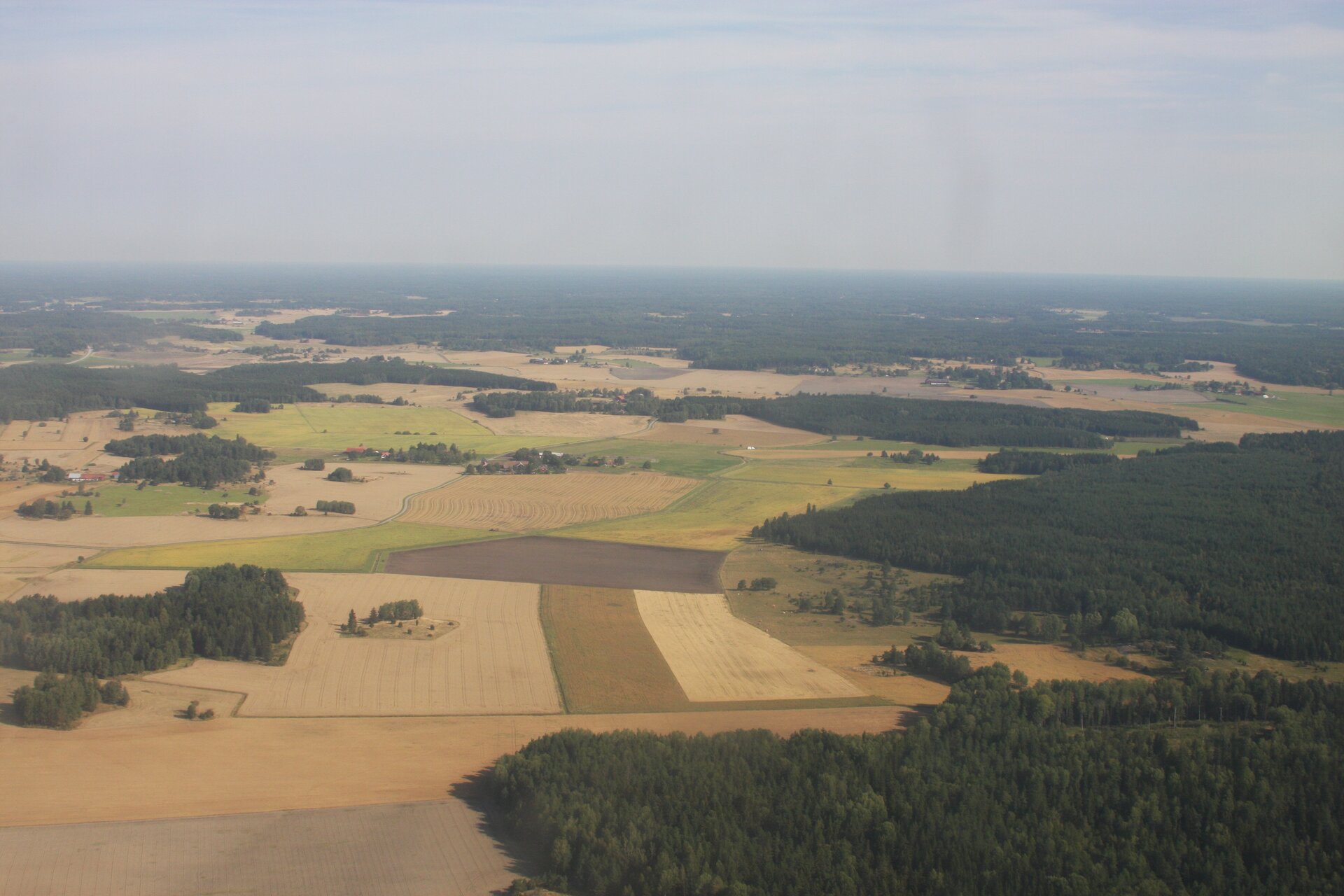 Ilustracja przedstawia widoczne z lotu ptaka gospodarstwo rolne w Szwecji. Jest ono otoczone zielonymi łąkami oraz lasami. Składa się ono z żółtych i brązowych fragmentów pola.