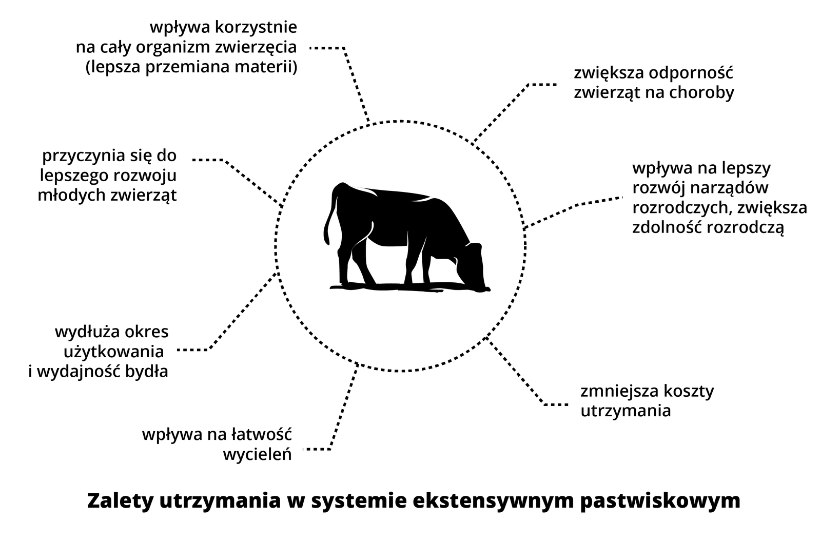 Schemat przedstawia zalety utrzymania w systemie ekstensywnym pastwiskowym. Wpływa korzystnie na cały organizm zwierzęcia (lepsza przemiana materii). Przyczynia się do lepszego rozwoju młodych zwierząt. Wydłuża okres użytkowania i wydajność bydła. Wpływa na łatwość wycieleń. Zwiększa odporność zwierząt na choroby. Wpływa na lepszy rozwój narządów rozrodczych, zwiększa zdolność rozrodczą. Zmniejsza koszty utrzymania.