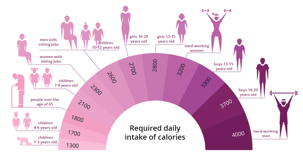 Ilustracja przedstawia dzienne zapotrzebowanie kaloryczne w zależności od płci i wieku. W fioletowym wachlarzu wpisane liczby kalorii, od 1300 do 4000. Im więcej kalorii, tym odcień ciemniejszy. Nad wachlarzem schematyczne fioletowe sylwetki z opisem wieku, płci i rodzaju pracy. Od sylwetek kreski do wachlarza wskazują, ile kalorii dziennie potrzebuje dana osoba.