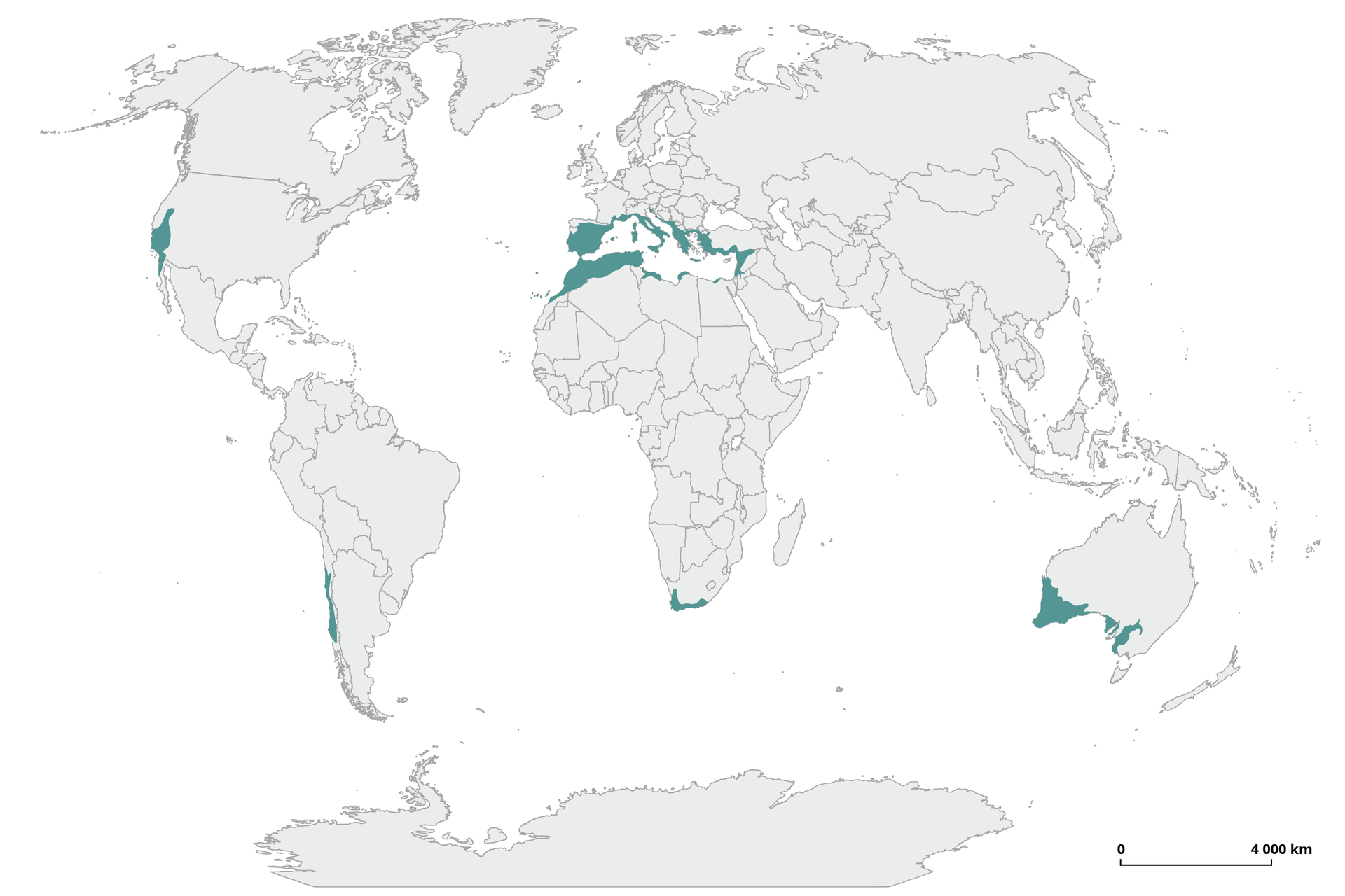 Na mapie świata zaznaczono obszary występowania roślinności twardolistnej. Zajmuje ona obszar Kalifornii, południowej Europy, Maroka, północnej Algierii, Tunezji, Azji Mniejszej, Syrii, Jordanii, Palestyny, Izraela. Ta formacja jest obecna także w środkowej części Chile, na południowym krańcu Afryki, w południowo‑zachodniej Australii i na Małych Wyspach Sundajskich.