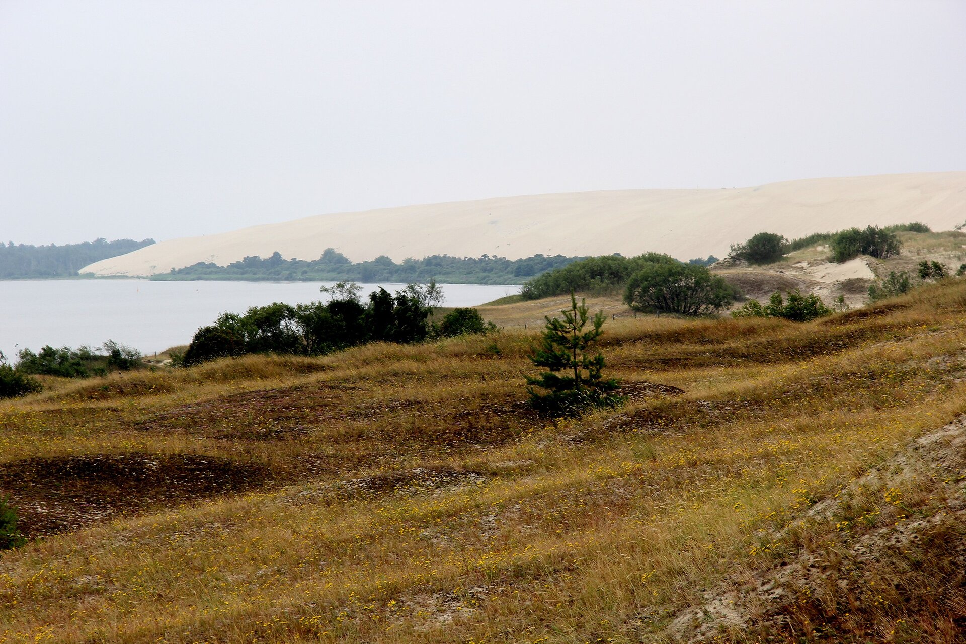 Na zdjęciu zbiornik wodny. Przy brzegu polana obrośnięta trawą. 