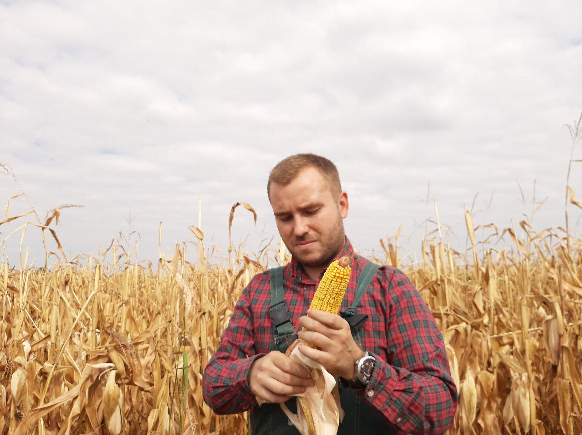 Zdjęcie przedstawia młodego mężczyznę trzymającego w ręce kolbę kukurydzy. W tle jest pole dojrzałej kukurydzy,