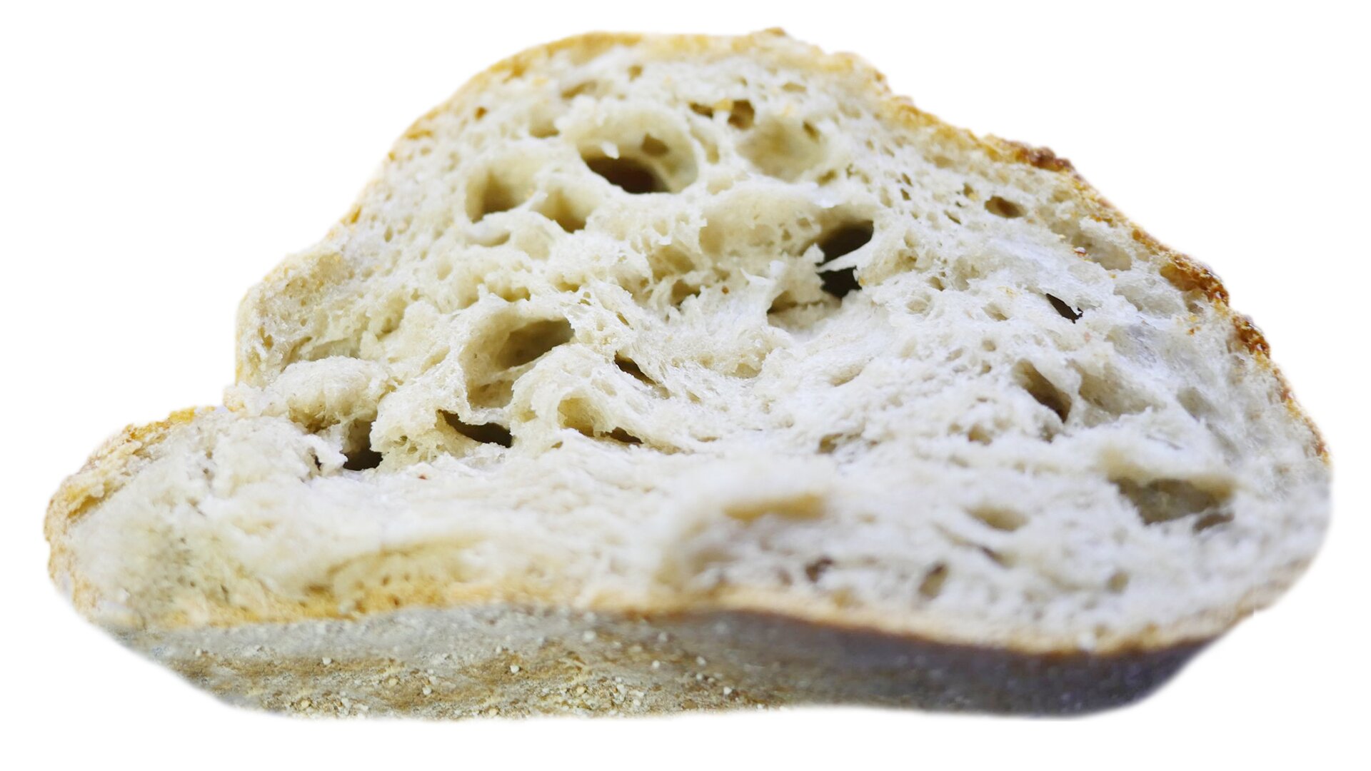 Zbliżenie przekroju kęsa ciasta pszennego pokazujące strukturę w fazie wypieku z wadą niedopieczenia