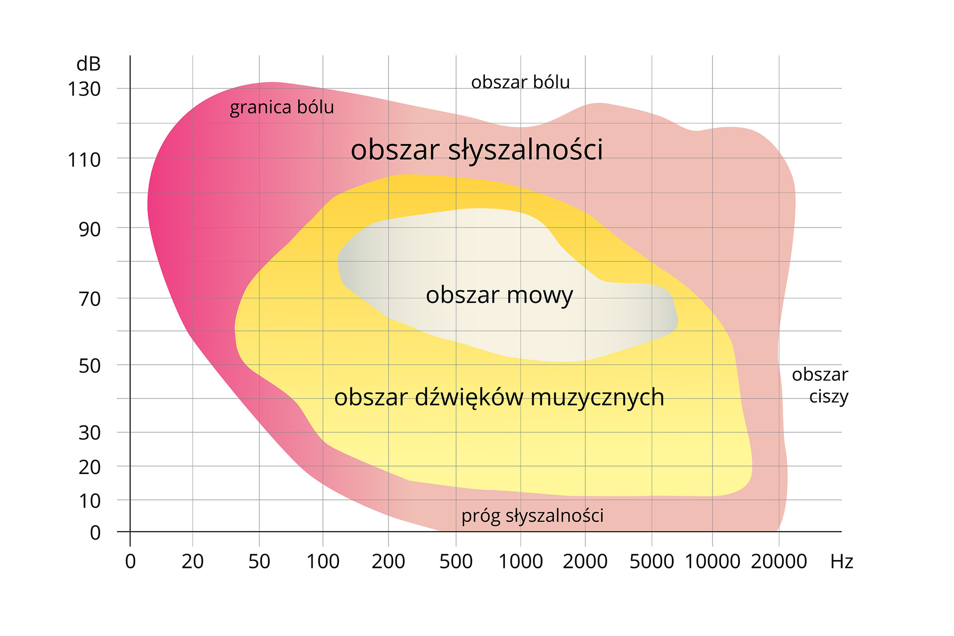 Wykres przedstawia wrażliwość ucha na dźwięki. Na osi X częstotliwość dźwięku w hercach od 0 do 20 000. Na osi Y poziom natężenia dźwięku w decybelach od 0 do 130. U dołu podpisany próg słyszalności, u góry obszar bólu. Z prawej obszar ciszy. Naniesiono różowy obszar oznaczający słyszalności od 0 do 130 decybeli oraz od około 5 do ponad 20 000 herców, na nim po lewej stronie kolorystyka różu jest ciemniejsza i podpisana granicą bólu, która występuje przy 130 decybelach. W obszarze słyszalności mieści się żółty obszar dźwięków muzycznych od około 40 do około 15 000 herców, od około 10 do 105 decybeli. W nim mniejszy biały obszar mowy od około 130 do około 6500 herców, od około 50 do około 95 decybeli.