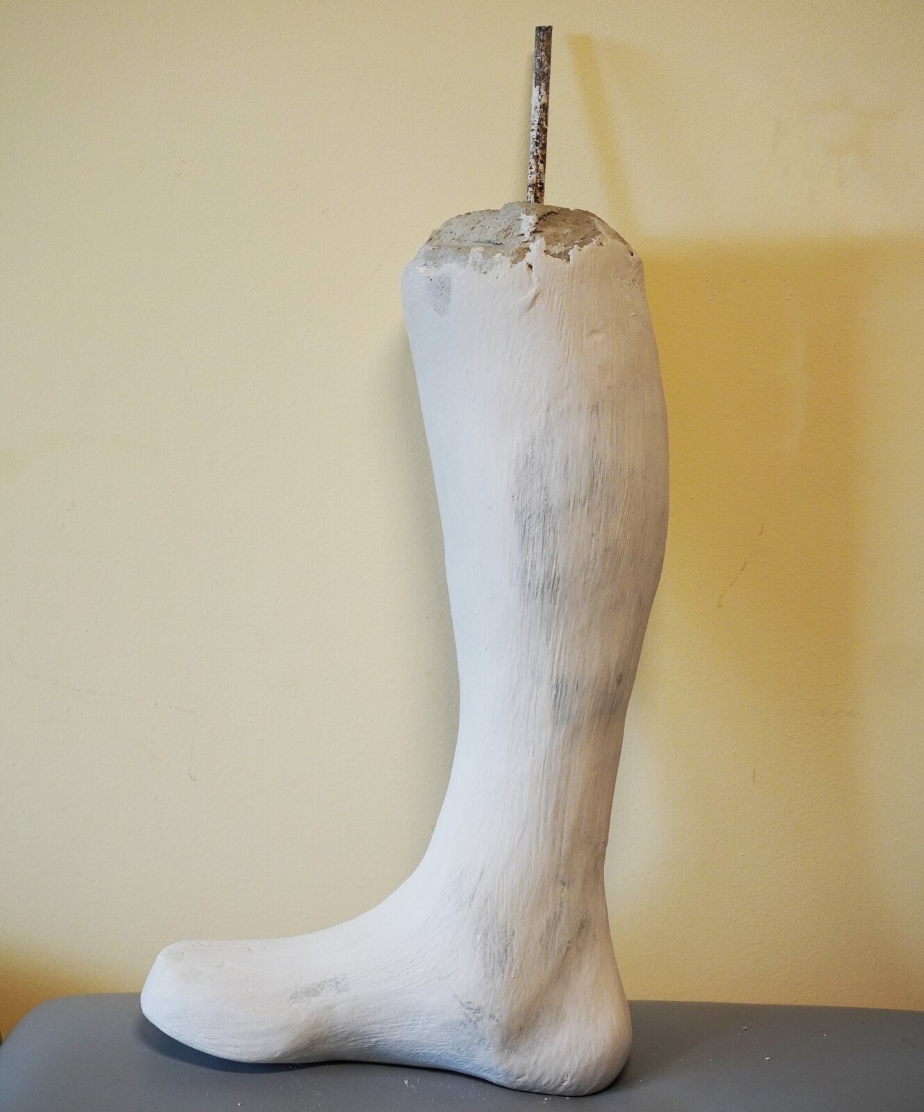 Zdjęcie przedstawia pozytyw gipsowy w kształcie łydki i stopy. Z górnej części wystaje metalowy pręt.