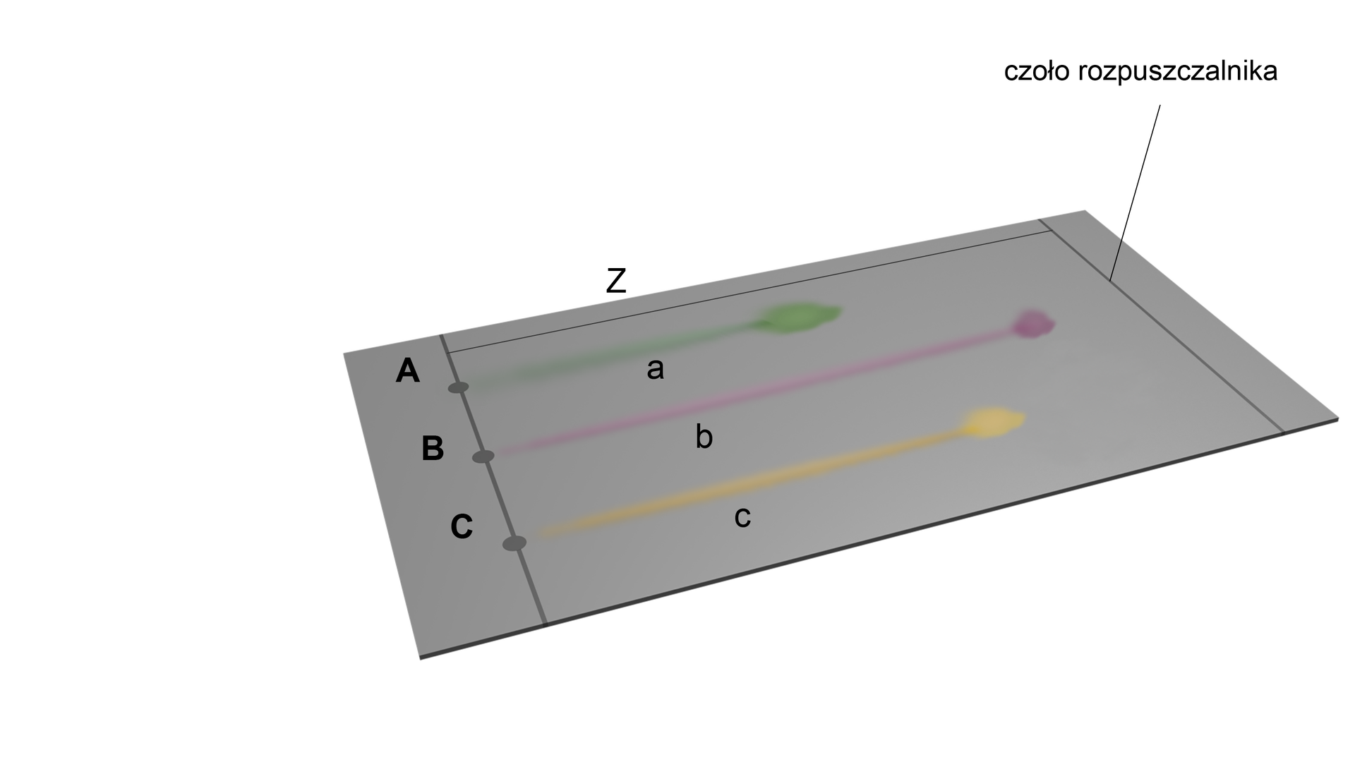 Na ilustracji znajduje się płytka TLC. Kolory próbek tworzą linie w danym kolorze. Linia biegnie w stronę czoła rozpuszczalnika, czyli przeciwległej strony płytki. 
