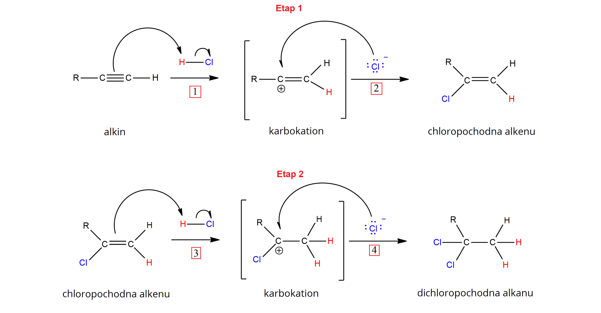 Ilustracja przedstawiająca mechanizm reakcji addycji elektrofilowej chlorowodoru do alkinu. Podstawnik R oznacza dowolną grupę węglowodorową lub atom wodoru. Analogicznie przebiega mechanizm addycji innych fluorowcowodorów. Cząsteczka alkinu zbudowana z grupy CH połączonej za pomocą wiązania potrójnego z podstawnikiem R. Strzałka w prawo, nad strzałką znajduje się cząsteczka chlorowodoru HCl. Od wiązania potrójnego w cząsteczce alkinu poprowadzono łukowatą strzałkę do atomu wodoru w cząsteczce chlorowodoru HCl. Od wiązania łączącego atom wodoru z atomem chloru poprowadzono łukowatą strzałkę do atomu chloru w tejże cząsteczce. Za strzałką w nawiasie kwadratowym znajduje się karbokation, który zbudowany jest z atomu węgla obdarzonego ładunkiem dodatnim (znak plus) oraz podstawionego grupą R i połączonego za pomocą wiązania podwójnego z atomem węgla związanym z dwoma atomami wodoru. Nad strzałką skierowaną w prawą stronę znajduję się utworzony uprzednio anion chlorkowy Cl-, od którego poprowadzono łukowatą strzałkę do centrum karbokationowego (atomu węgla obdarzonego ładunkiem dodatnim). Za strzałką znajduje się chloropochodna alkenu zbudowana z grupy CH2 połączonej za pomocą wiązania podwójnego z atomem węgla podstawionym grupą R oraz z atomem chloru Cl. Jest to pierwsza addycja, po której ma miejsce druga w przypadku nadmiaru chlorowodoru. Cząsteczka chloropochodnej alkenu, strzałka w prawo, nad strzałką znajduje się cząsteczka chlorowodoru. Od wiązania podwójnego chloropochodnej alkenu poprowadzona jest łukowata strzałka do atomu wodoru w cząsteczce chlorowodoru. Druga łukowata strzałka poprowadzona jest od wiązania łączącego atom wodoru z atomem chloru w cząsteczce chlorowodoru do atomu chloru. Za strzałką w nawiasie kwadratowym znajduje się karbokation zbudowany z dwóch połączonych za pomocą wiązania pojedynczego atomów węgla, z których pierwszy obdarzony jest ładunkiem dodatnim i połączony z podstawnikiem R oraz atomem chloru, zaś drugi łączy się z trzema atomami wodoru. Strzałka w prawo, nad strzałką znajduje się anion chlorkowy, od jednej z czterech zaznaczonych na nim par elektronowych poprowadzona jest łukowata strzałka do atomu węgla obdarzonego ładunkiem dodatnim w karbokationie. Za strzałką znajduje się cząsteczka dichloropochodnej alkanu zbudowanej z dwóch połączonych za pomocą wiązania pojedynczego atomów węgla, z których pierwszy łączy się z trzema atomami wodoru, a drugi z dwoma atomami chloru oraz z podstawnikiem R.