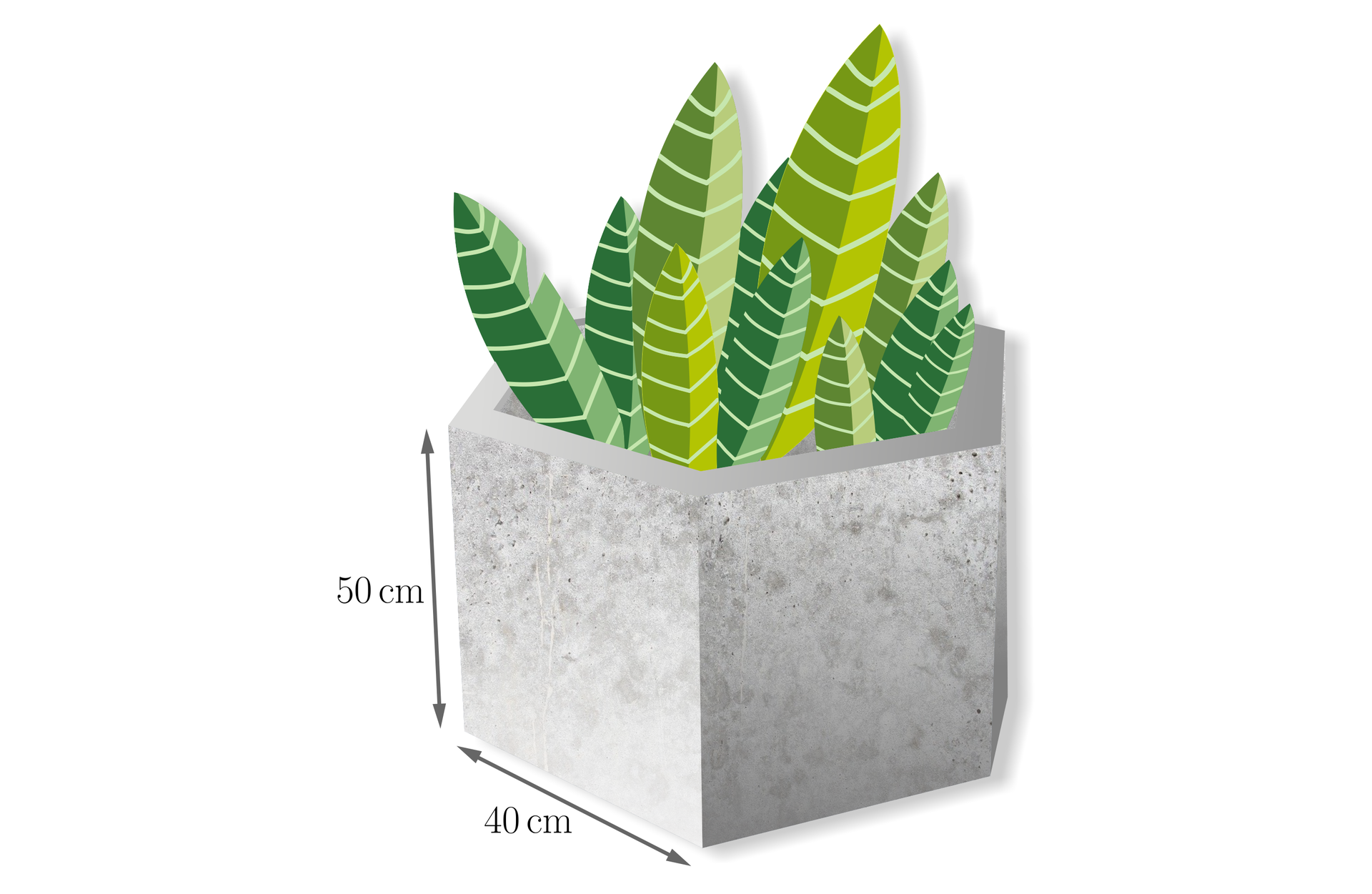Grafika przedstawia liście w betonowej donicy. Donica ma kształt graniastosłupa prawidłowego sześciokątnego. Wysokość graniastosłupa ma wartość 50 cm. Długość krawędzi podstawy wynosi 40 cm.