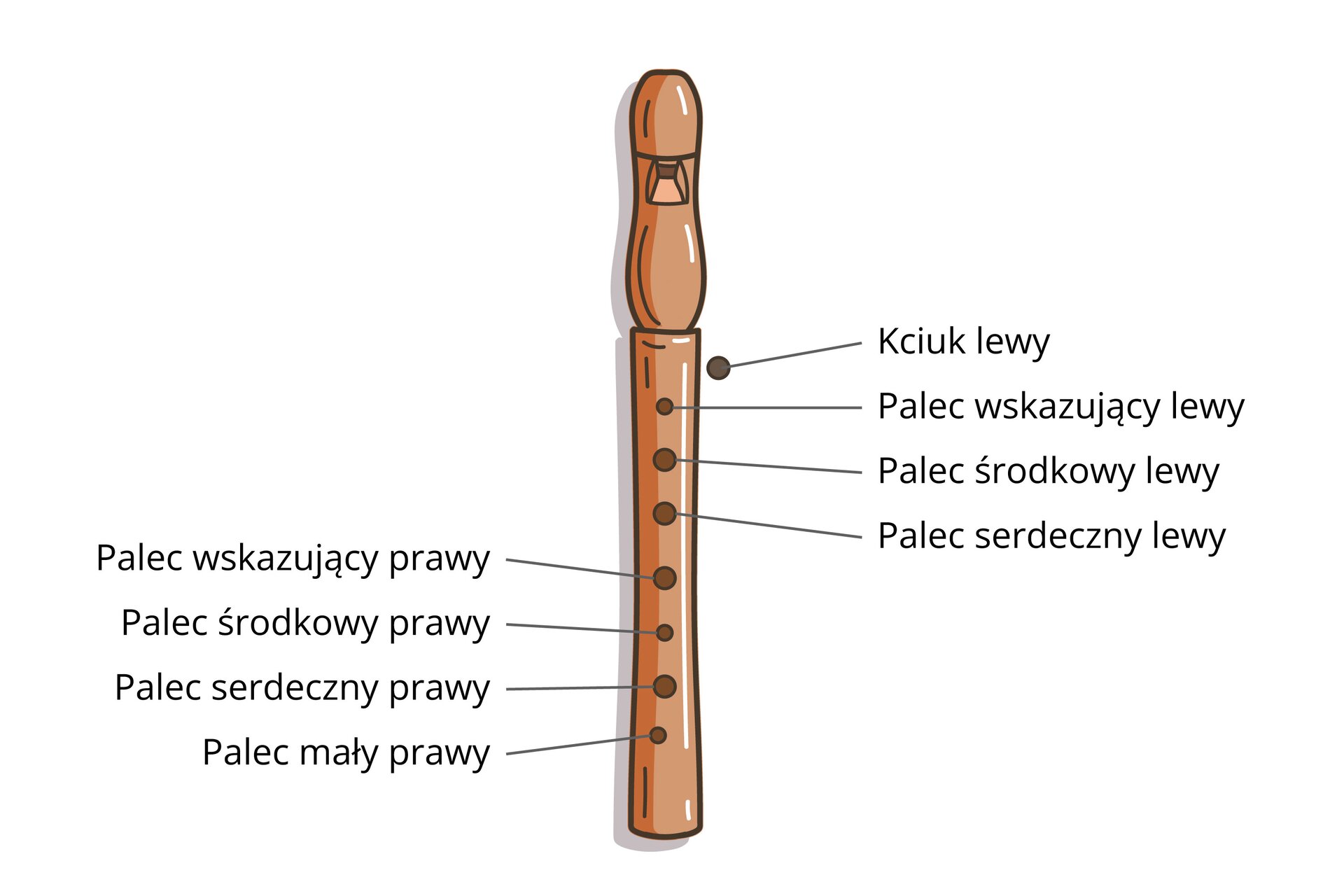 Obraz przedstawia flet oraz przypisy, które wskazują na prawidłowe ułożenie dłoni, podczas korzystania z instrumentu. Nad otworami, od tylnej strony instrumentu powinien leżeć kciuk lewej dłoni, trzy otwory pod nim z przodu instrumentu, powinny odpowiadać kolejno wymienionym palcom lewej ręki: Palec wskazujący, palec środkowy, palec serdeczny.  Następne cztery otwory powinny być obsłużone przez kolejno wymienione palce prawej ręki: palec wskazujący, palec środkowy, palec serdeczny, a na końcu palec mały.