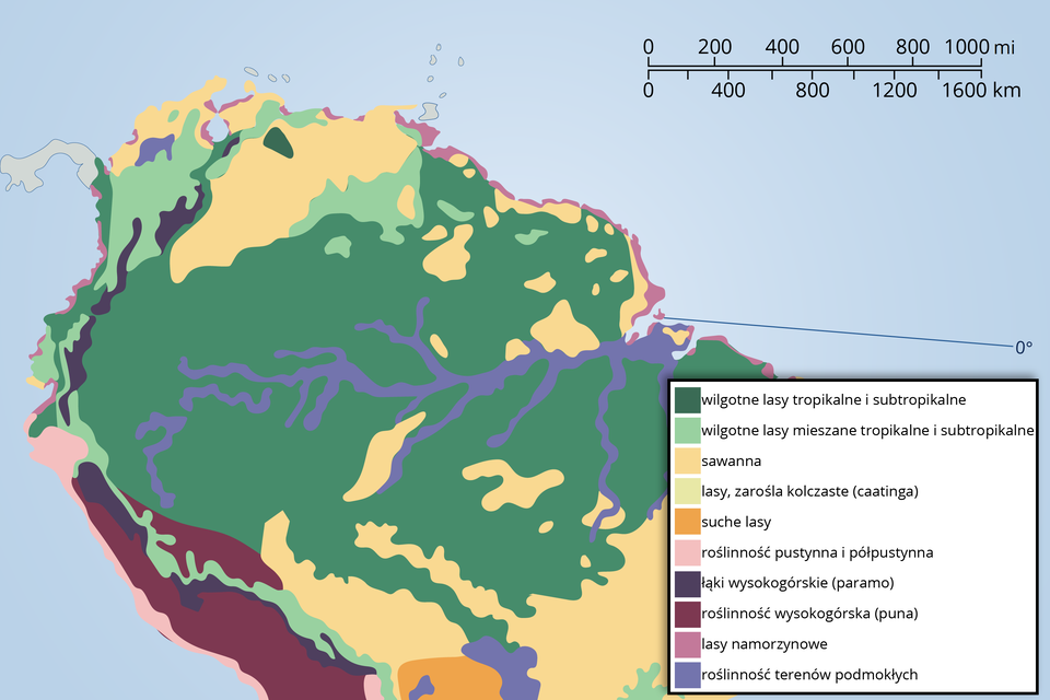 Mapa przedstawia Amazonię oraz jej formacje roślinne. Zaznaczono na niej rzekę Amazonkę wraz z roślinnością terenów podmokłych. Wokół niej większość terenu zajmują wilgotne lasy tropikalne i subtropikalne. Wilgotne lasy mieszane tropikalne i subtropikalne występują głównie w Kolumbii oraz jako wąski pas w Peru i Chile. Przy niektórych brzegach rzeki, na północy Ameryki Południowej oraz w południowej Brazylii występuje sawanna. Na wybrzeżu Chile występuje roślinność pustynna i półpustynna. W paśmie Andów występują łąki wysokogórskie zwane paramo. Suche lasy znajdują się na południe od sawann Brazylii. W Chile, w górach występuje roślinność wysokogórska zwana puna. Na wybrzeżu Kolumbii występują lasy namorzynowe.