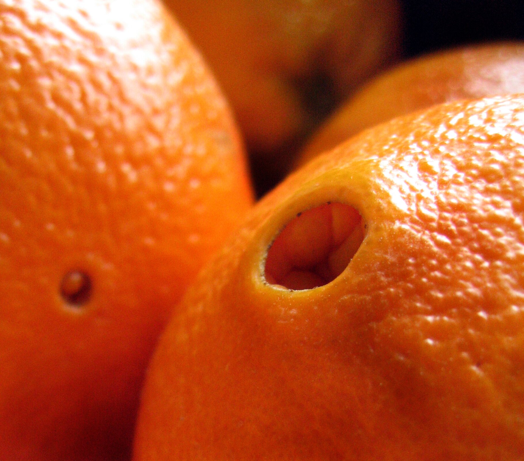 Zdjęcie przedstawia pomarańczę z charakterystycznym ,,pępkiem" - dziurką.  