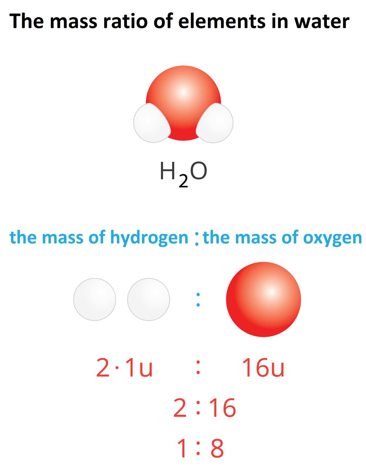 Ilustracja przedstawia obliczanie stosunku masowego pierwiastków dla wody. W górnej jej części znajduje się rysunek modelu cząsteczki wody i jej wzór sumaryczny. Poniżej znajduje się wyróżniona kolorem niebieskim informacja, że w przypadku tej cząsteczki stosunkiem będzie proporcja masy wodoru do masy tlenu. Obliczenia wyglądają następująco: dwa razy jeden unit do szesnastu unitów to proporcja dwa do szesnastu, czyli jeden do ośmiu.